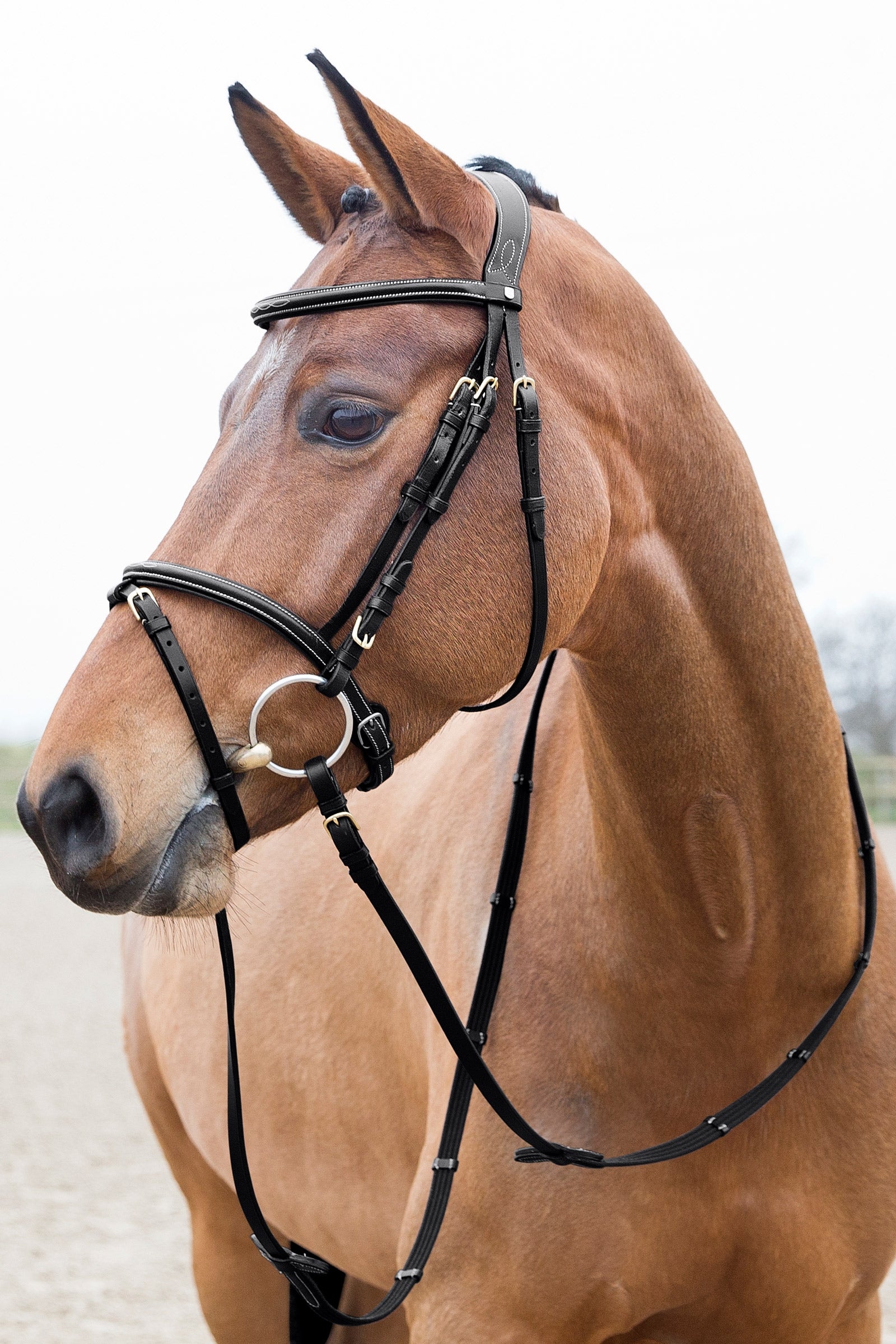Horze Constance Padded Flash Bridle Bridles & Reins
