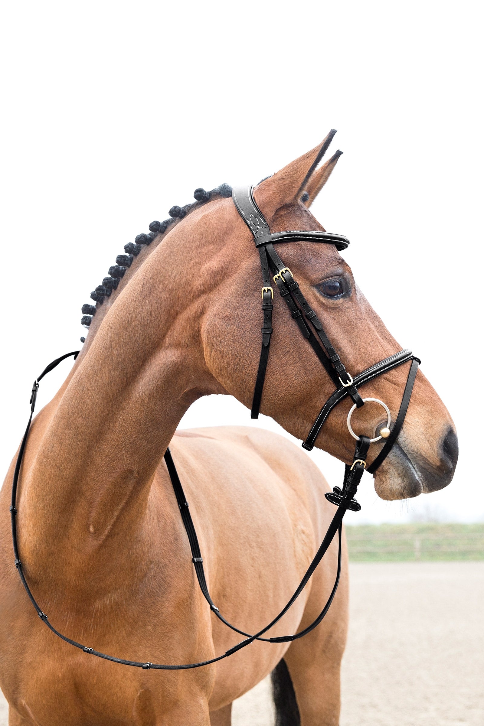 Horze Constance Padded Flash Bridle Bridles & Reins