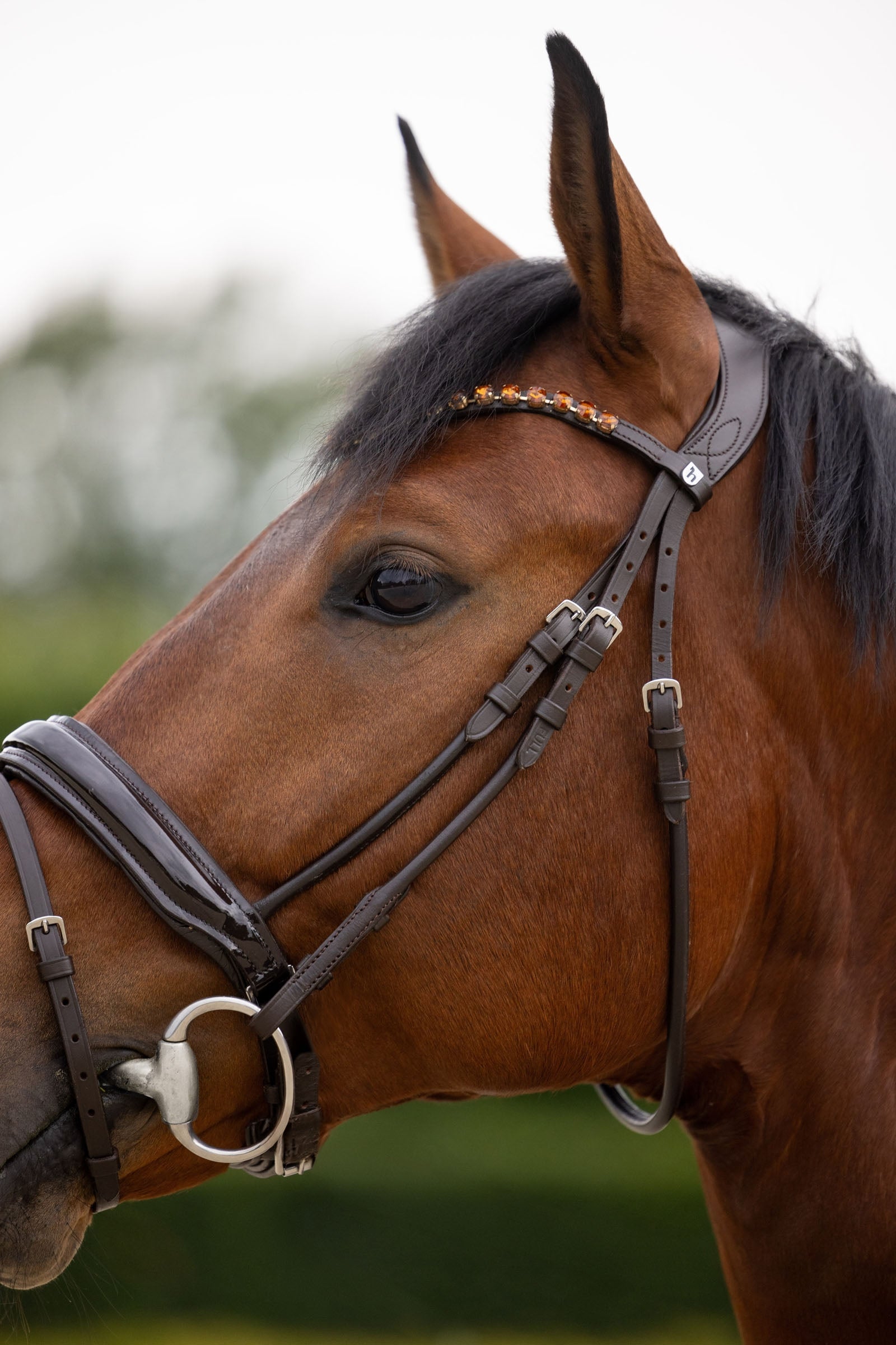 Horze Clermont Anatomic Bridle Bridles & Reins