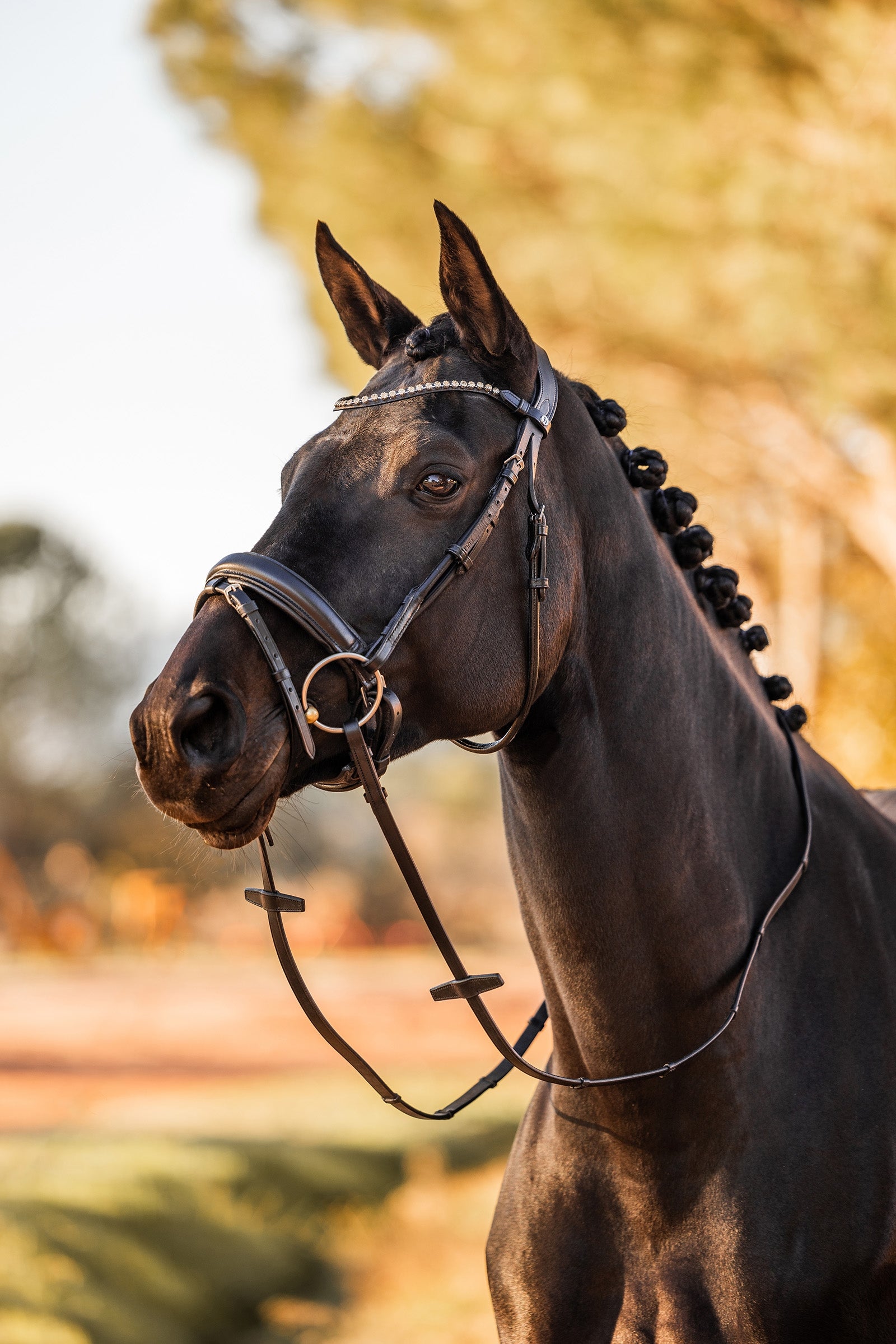 Horze Lockhart Anatomic Bridle Bridles & Reins