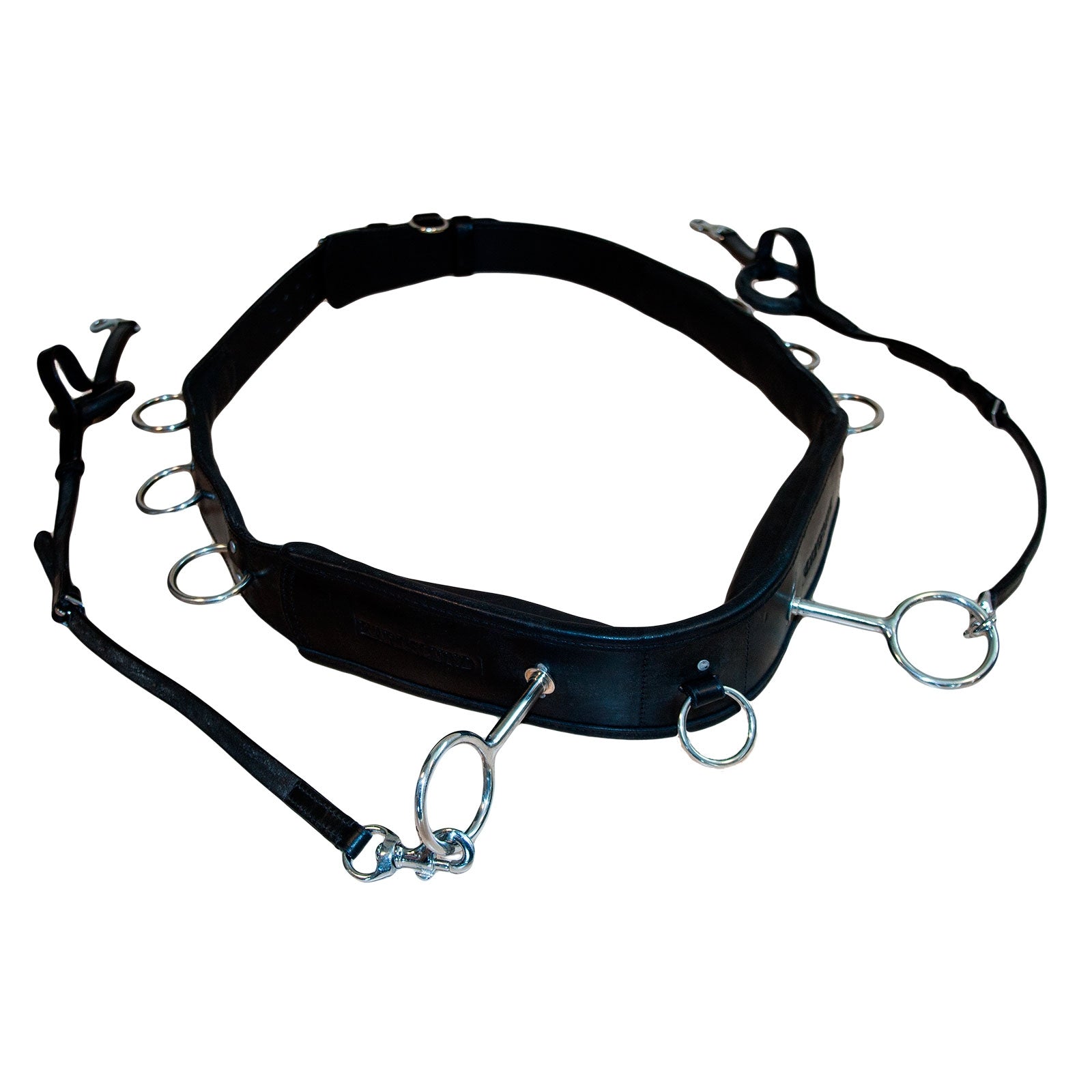 Karlslund Longiergurt Longieren & Bodenarbeit