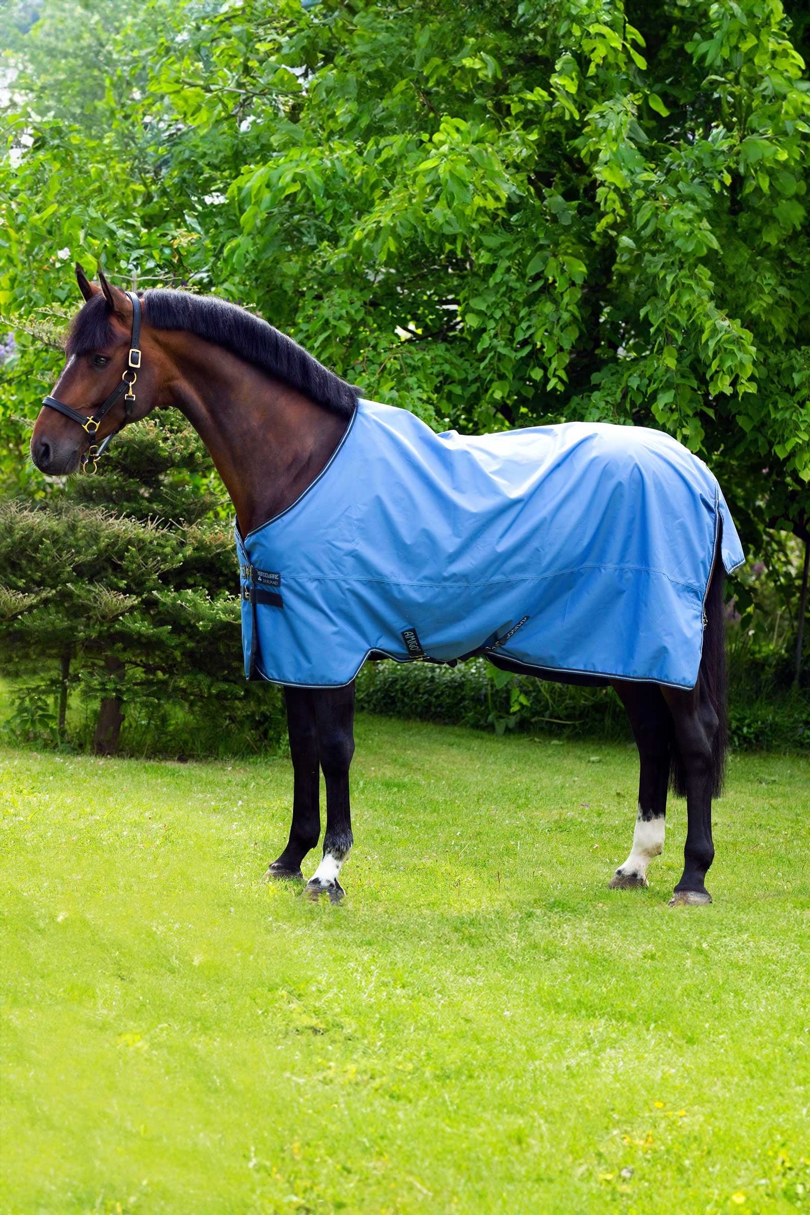 Horseware Amigo Hero 900 Weidedecke, 50g Pferdedecken