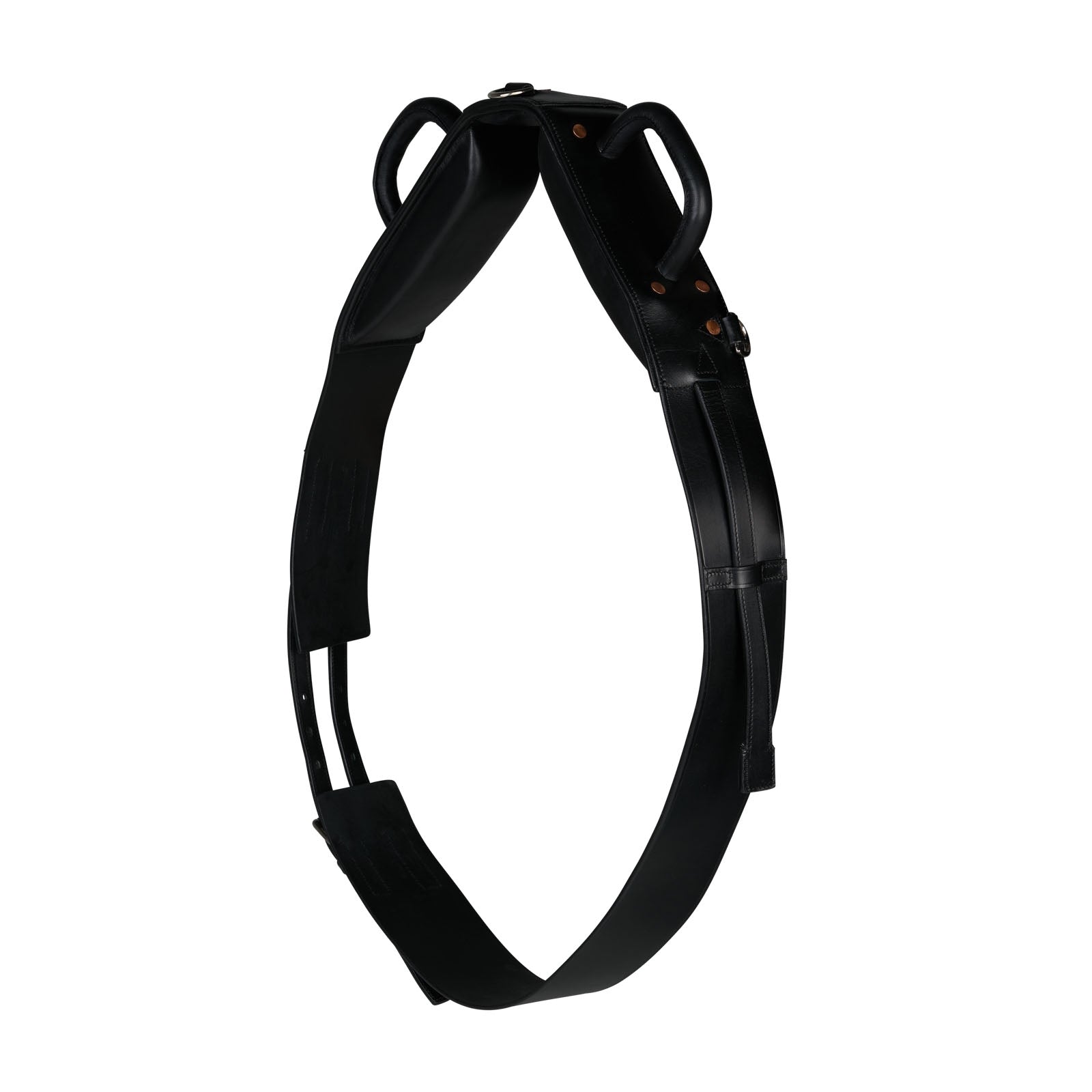 Horze Voltigiergurt Longieren & Bodenarbeit