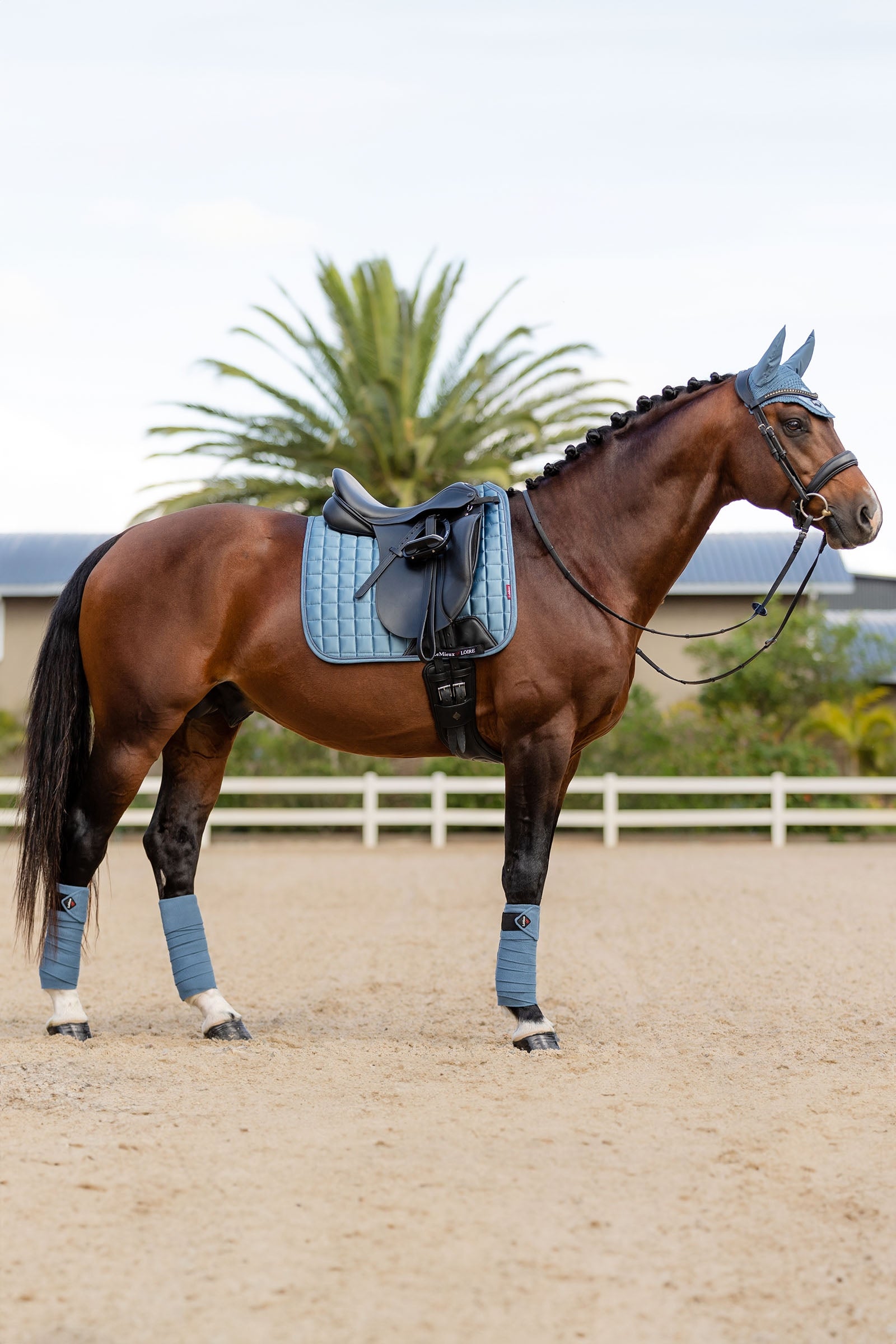 LeMieux Loire Memory Dressage Saddle Pad Saddle Pads