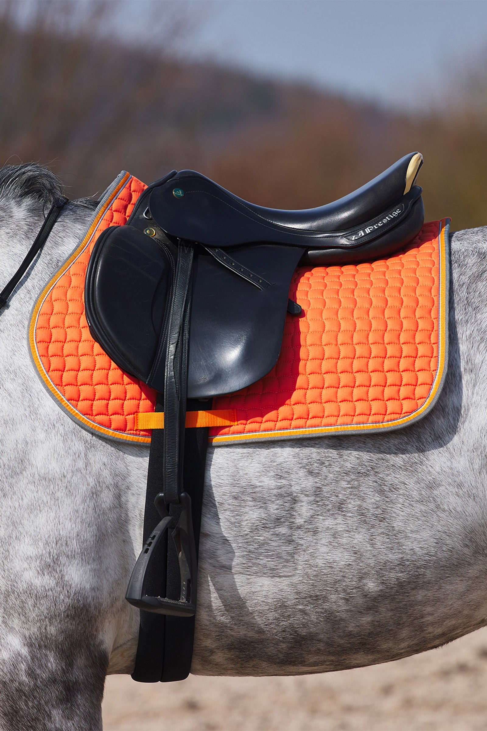 Horze Adepto All Purpose Saddle Pad Saddle Pads