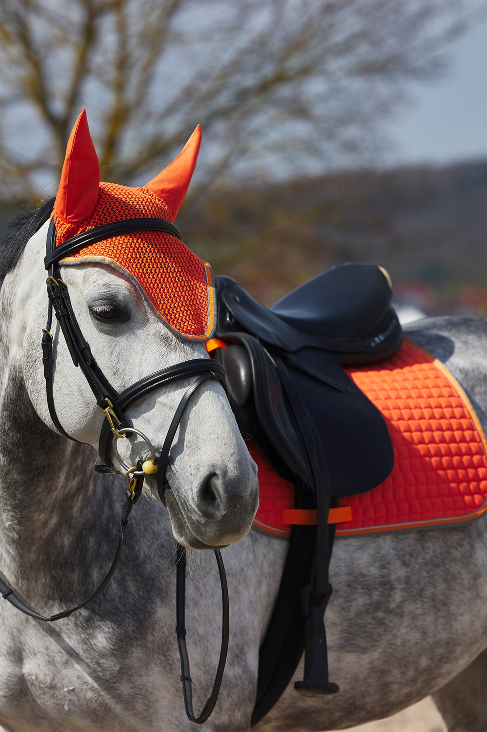 Horze Adepto All Purpose Saddle Pad Saddle Pads