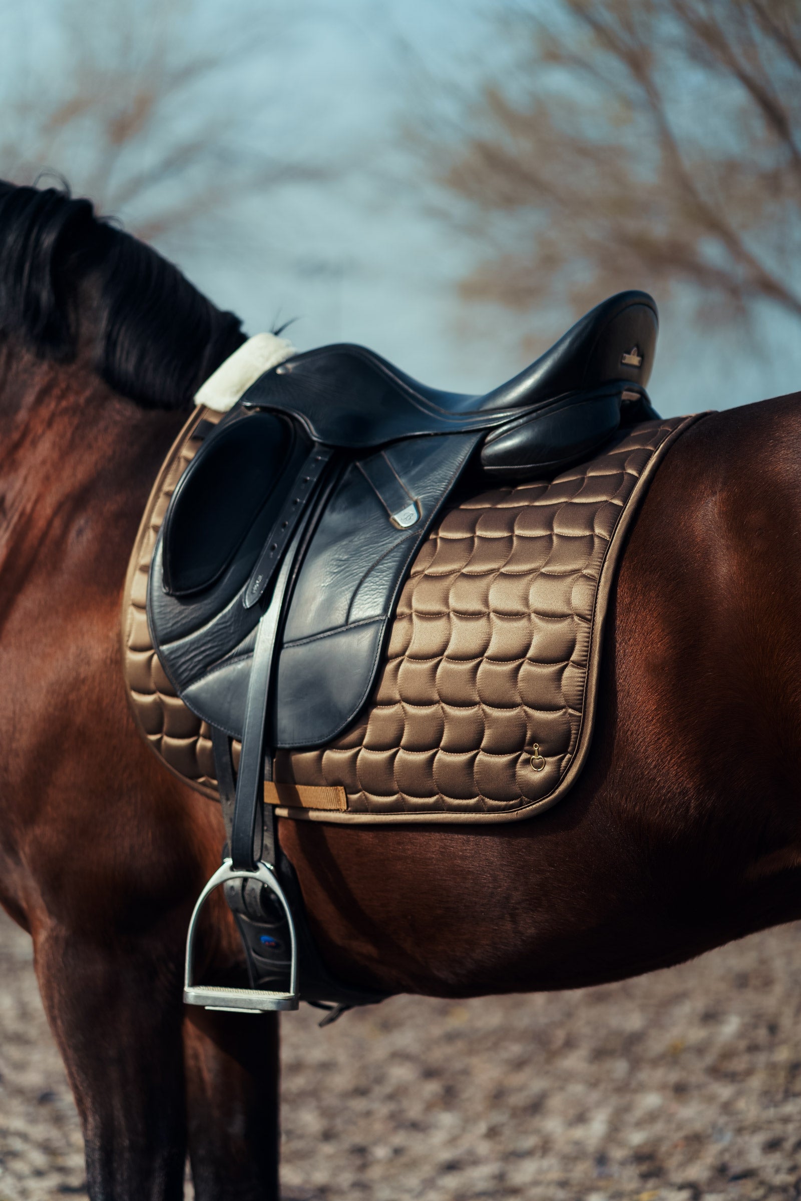 Horze Houston Dressage Saddle Pad Saddle Pads