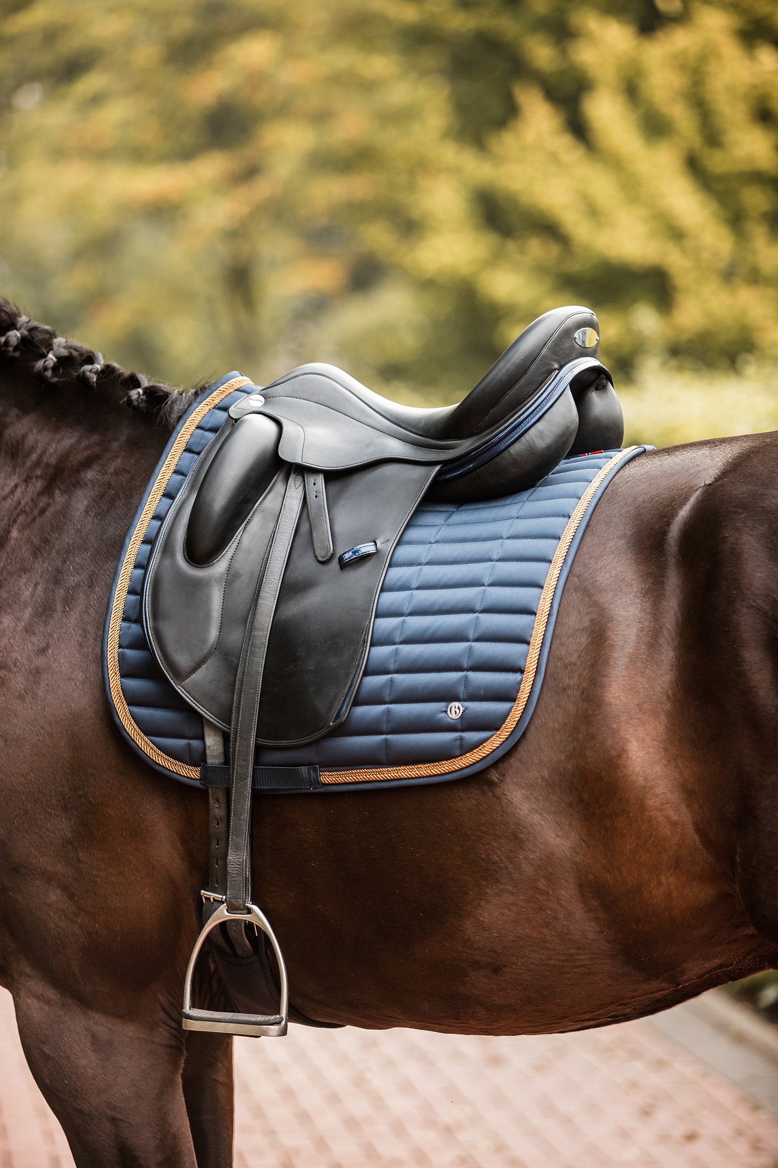 B Vertigo Quinn Dressage Saddle Pad Saddle Pads