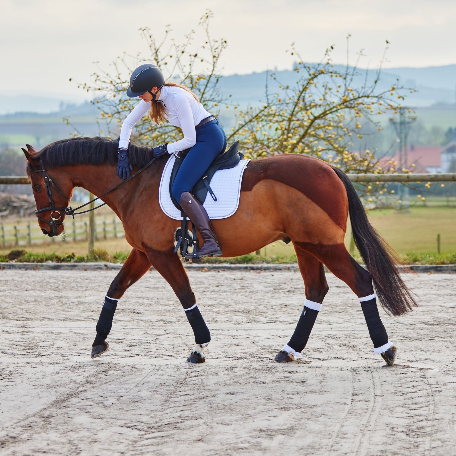 Horze Leg Wraps, back Leg Protection & Hoof Protection for Horses