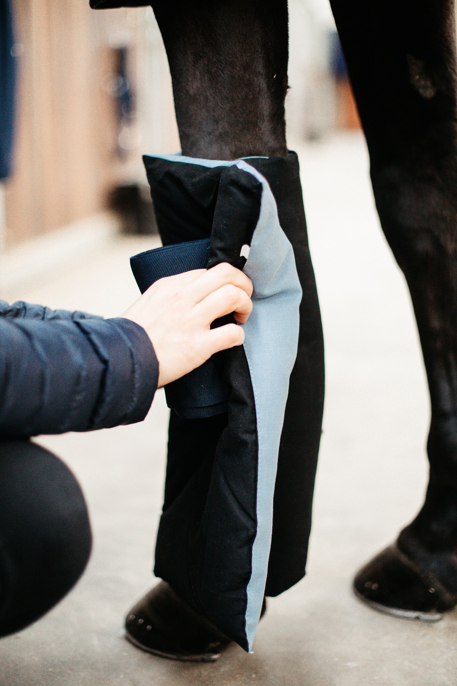 Kentucky Horsewear magnetic bandage pad Recuptex Leg Protection & Hoof Protection for Horses