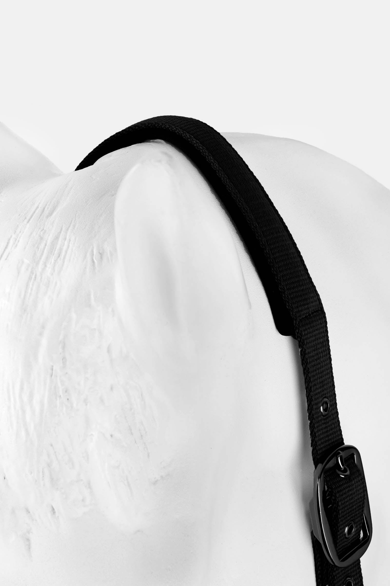 Horze Milan halter Halters & Leads
