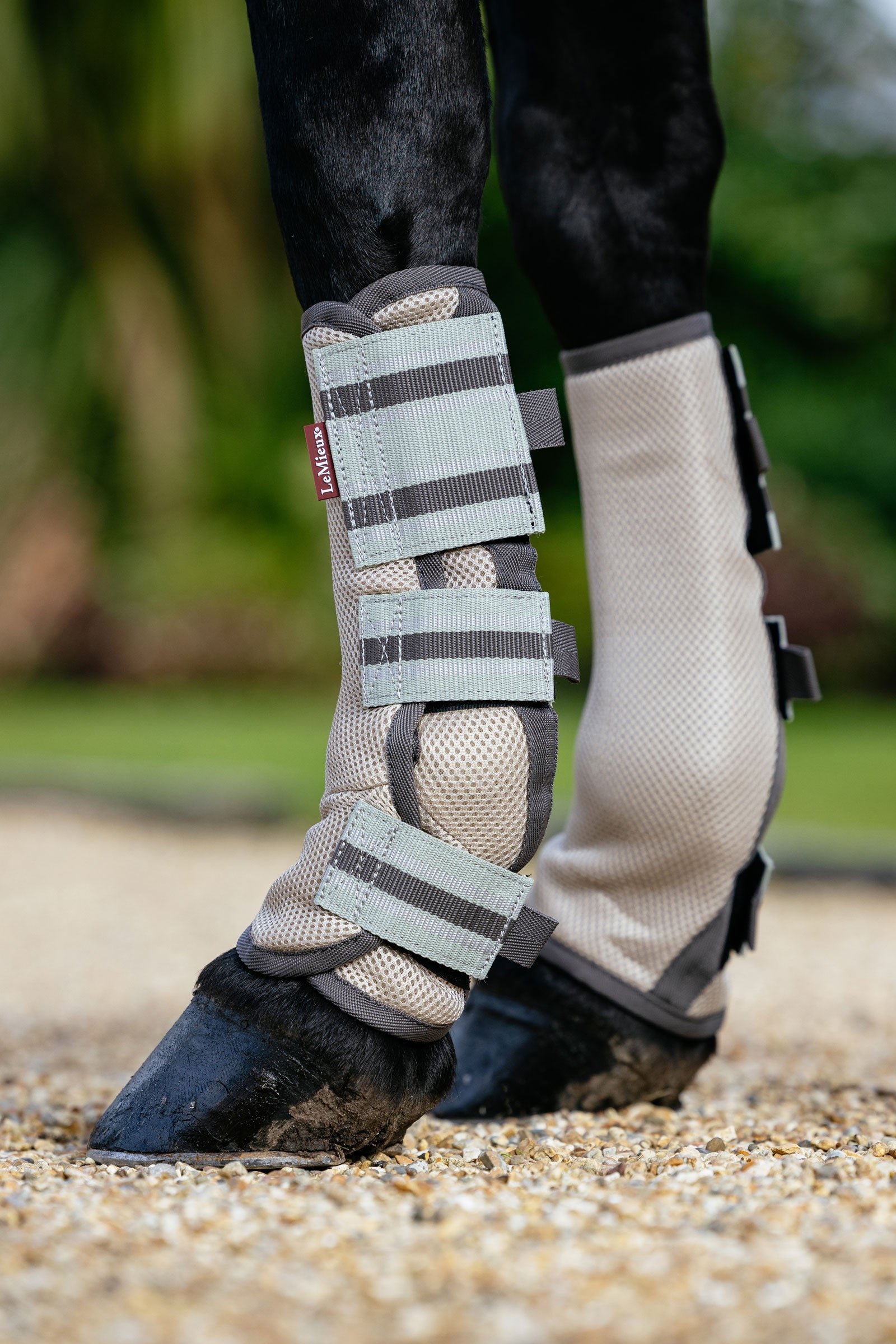 LeMieux Arika Mesh Gamaschen gegen Fliegen (Set mit 4 Stück) Fliegenschutz