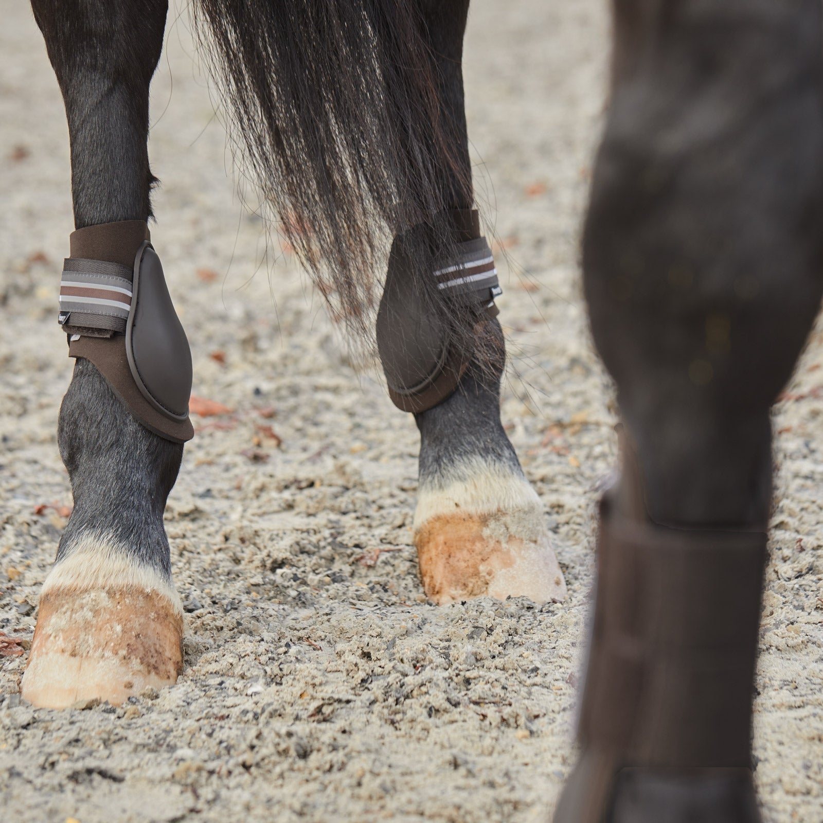 Horze Adepto Fetlock Boots Leg Protection & Hoof Protection for Horses