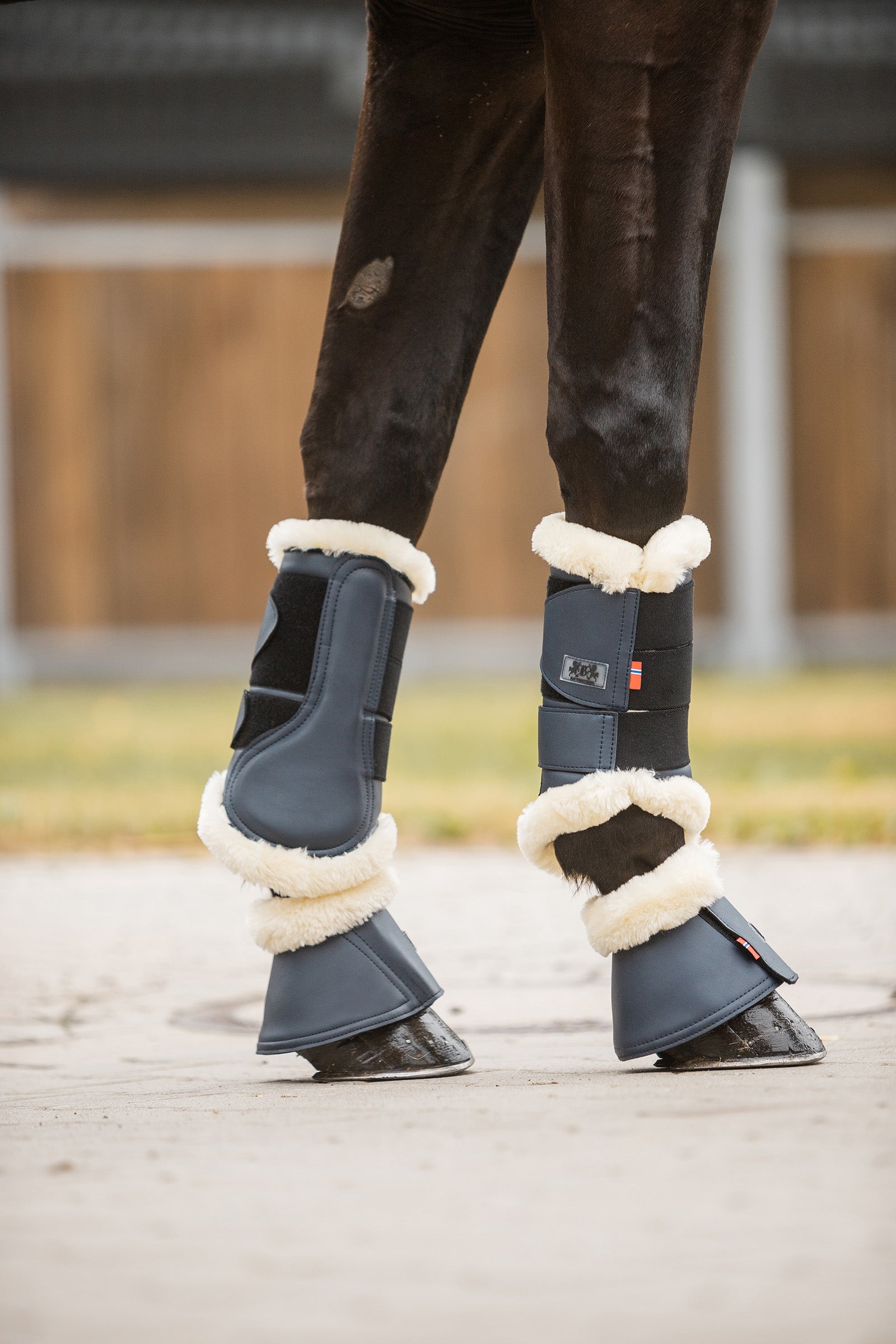 B Vertigo Quinn Brushing Boots Leg Protection & Hoof Protection for Horses