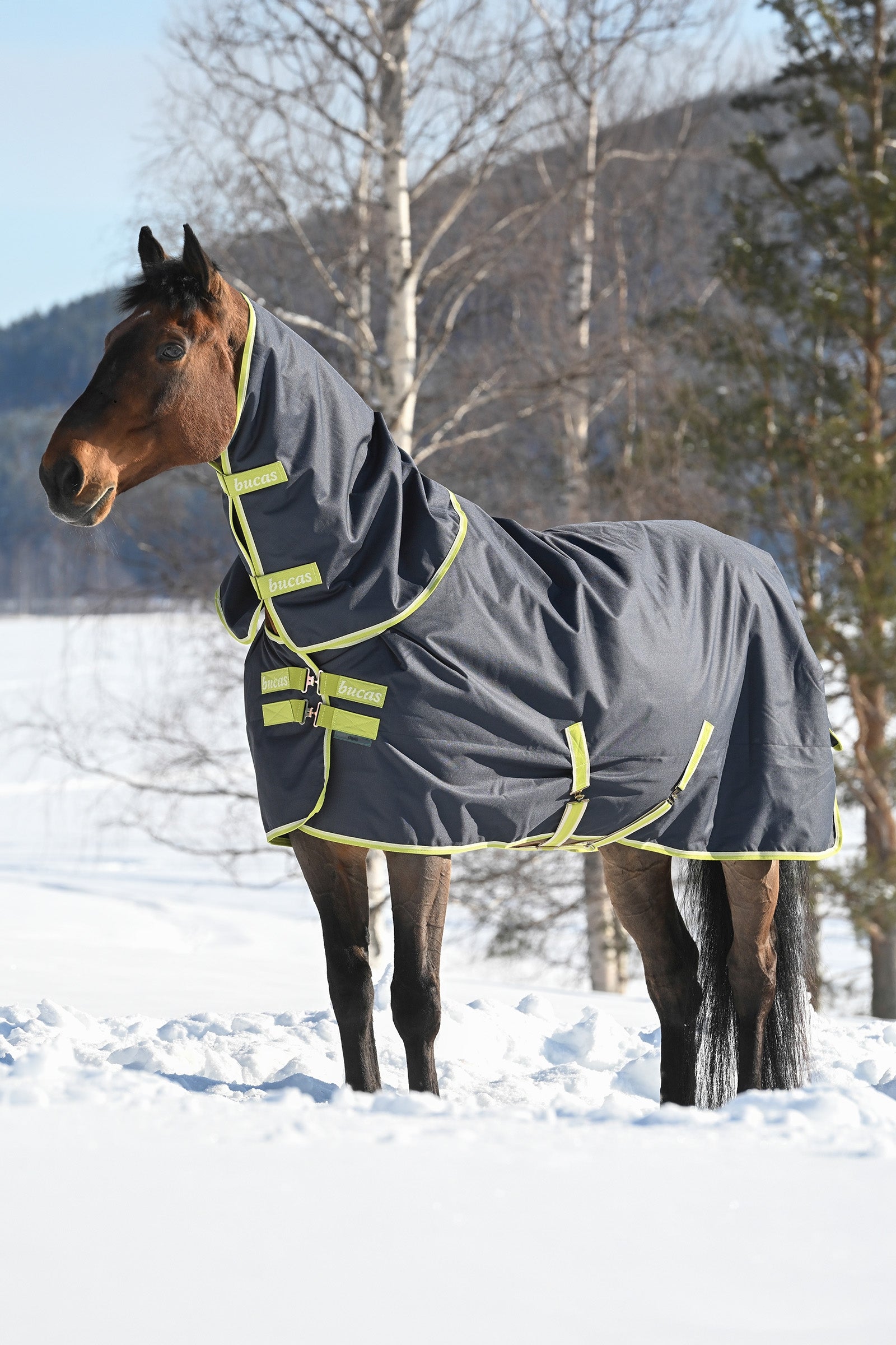 Bucas Oasis Turnout + Neck Set, 200g Horse Rugs