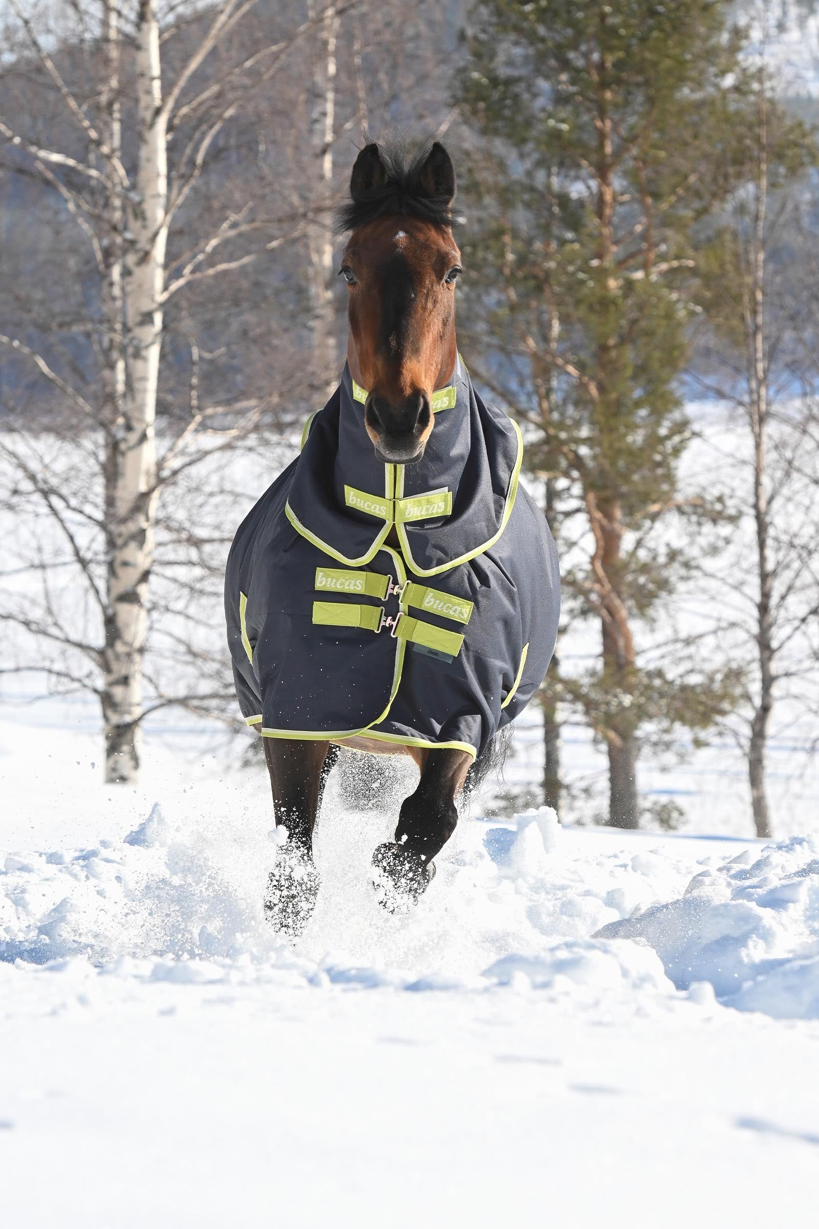 Bucas Oasis Turnout + Neck Set, 200g Horse Rugs