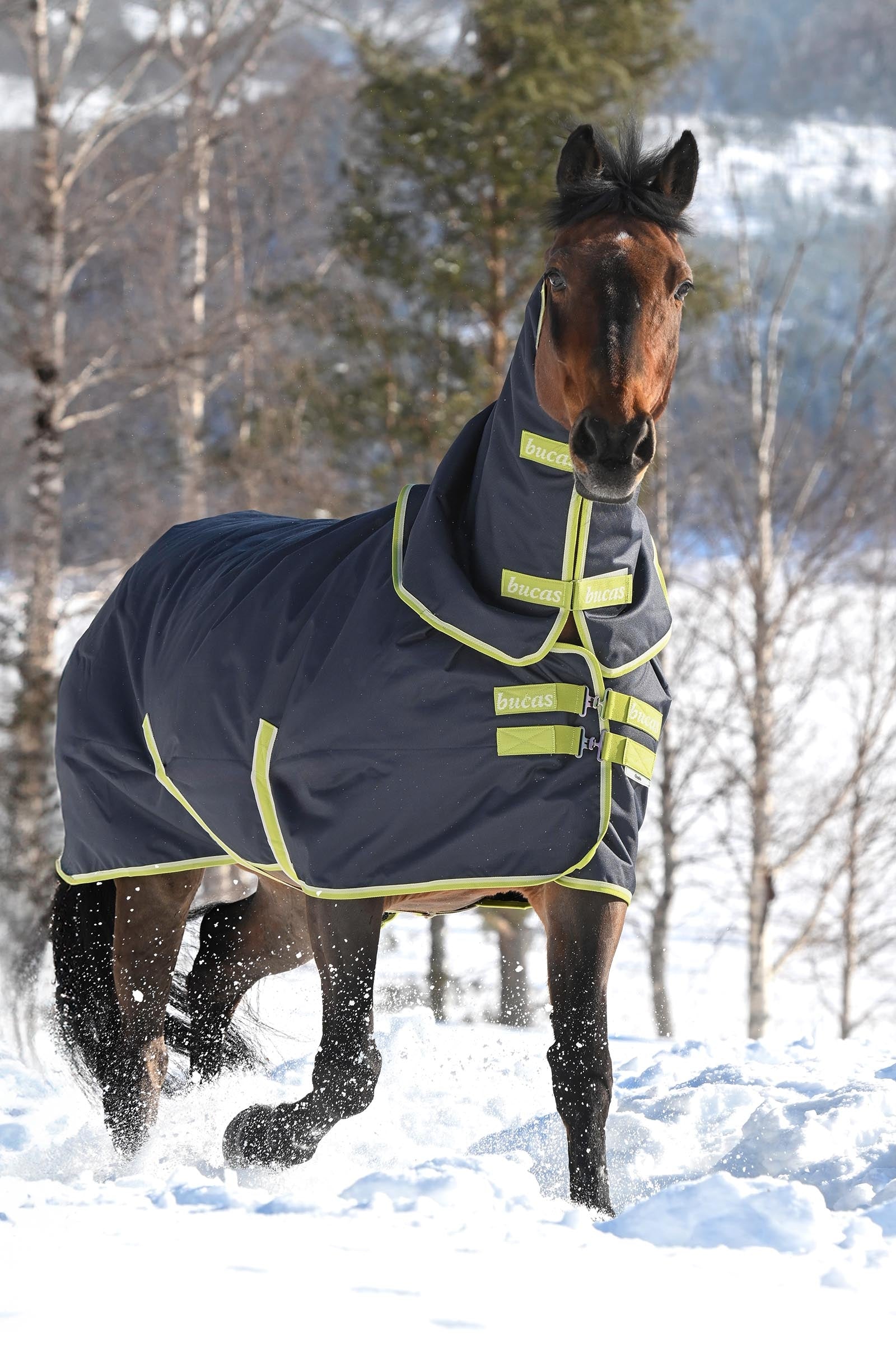 Bucas Oasis Turnout + Neck Set, 200g Horse Rugs