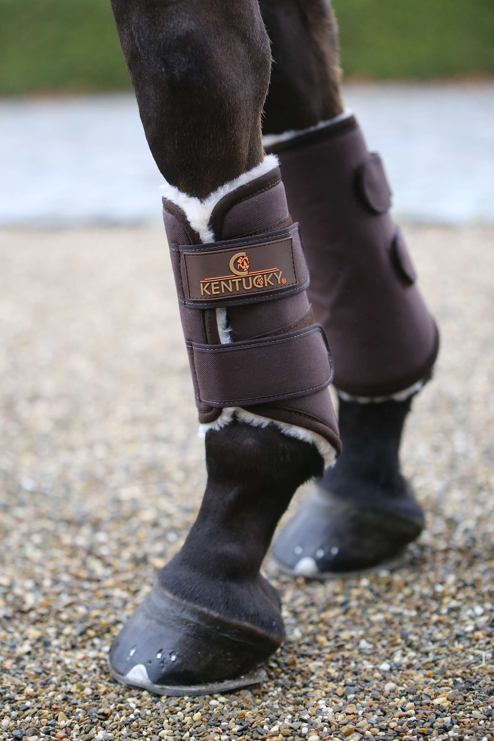 Kentucky Horsewear Solimbra Arbeitsgamaschen Vorne Leg & Hoof Protection