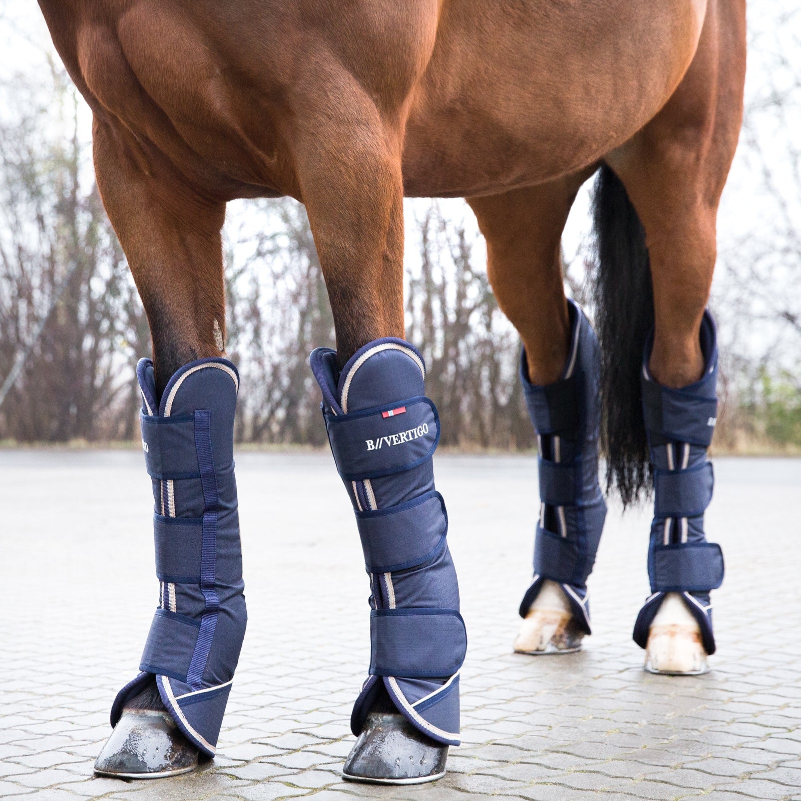 B Vertigo Bristol Travel Boots Leg Protection & Hoof Protection for Horses