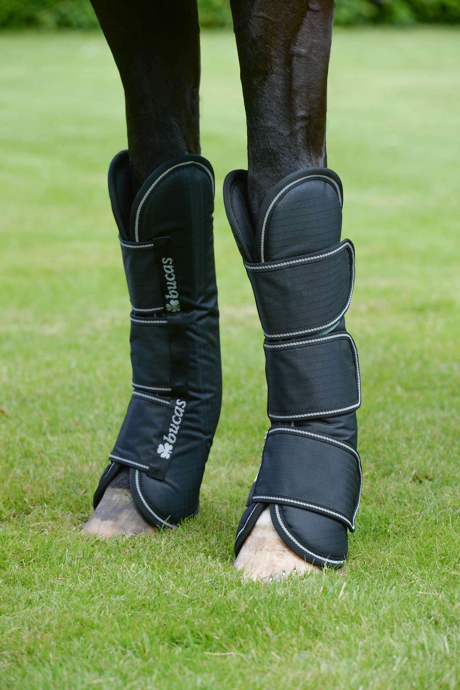 Bucas Freedom Travel Boots Leg Protection & Hoof Protection for Horses