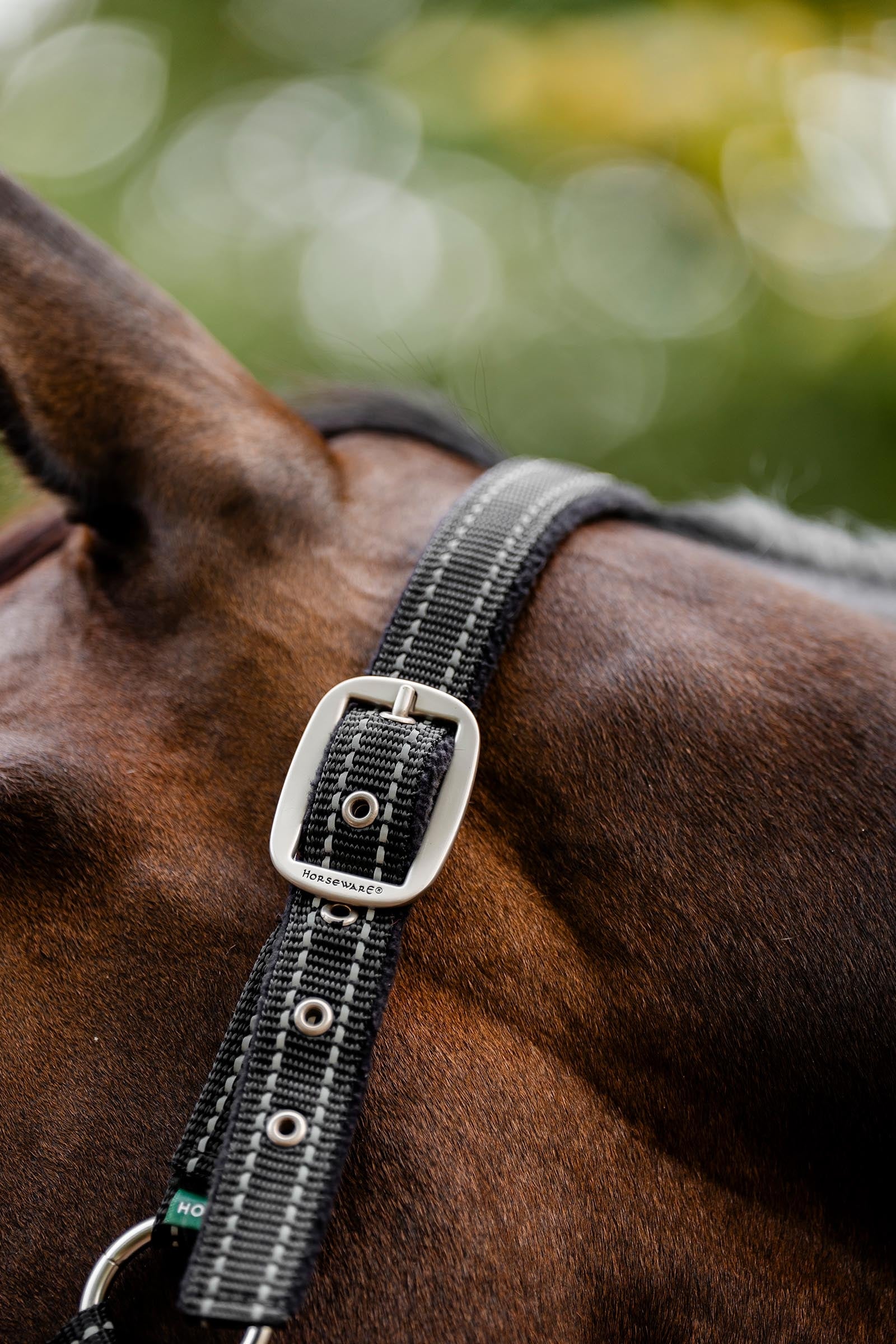 Horseware FieldSafe Headcollar Halters & Leads