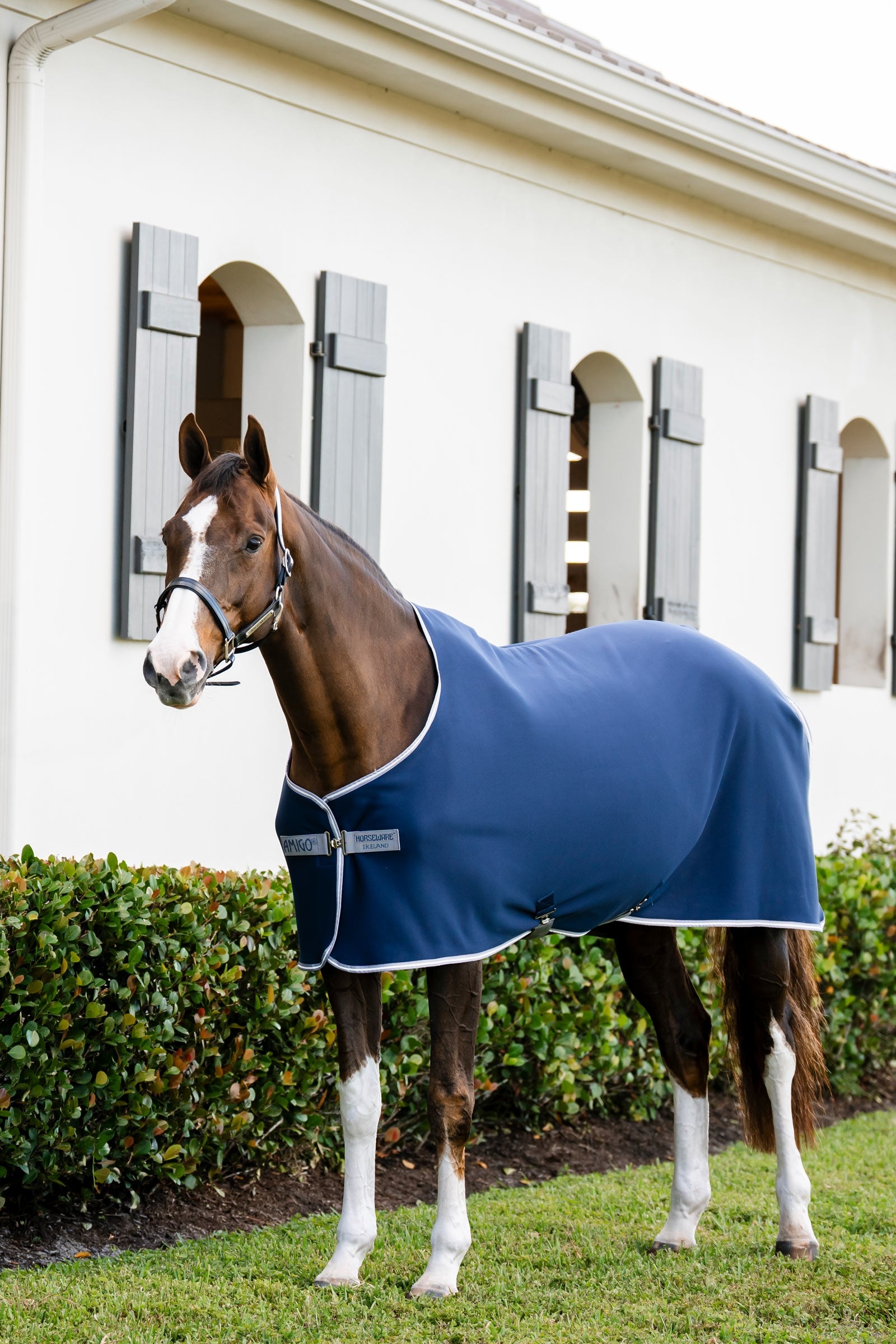 Horseware Amigo Jersey Cooler Abschwitzdecke Pferdedecken