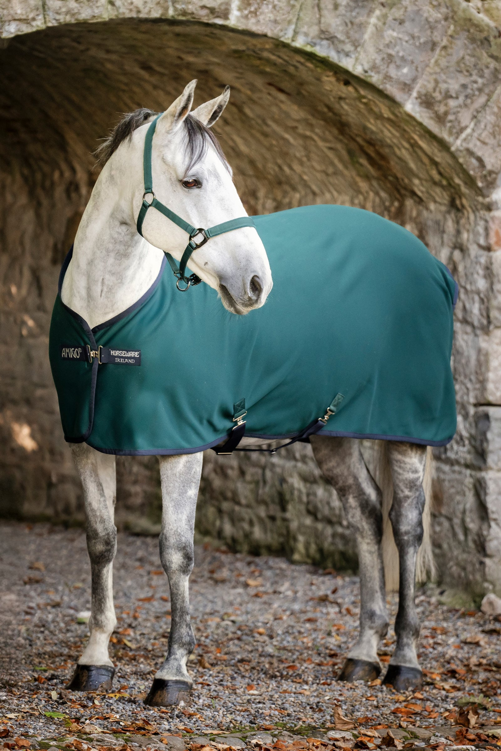 Horseware Amigo Jersey Cooler Abschwitzdecke Pferdedecken