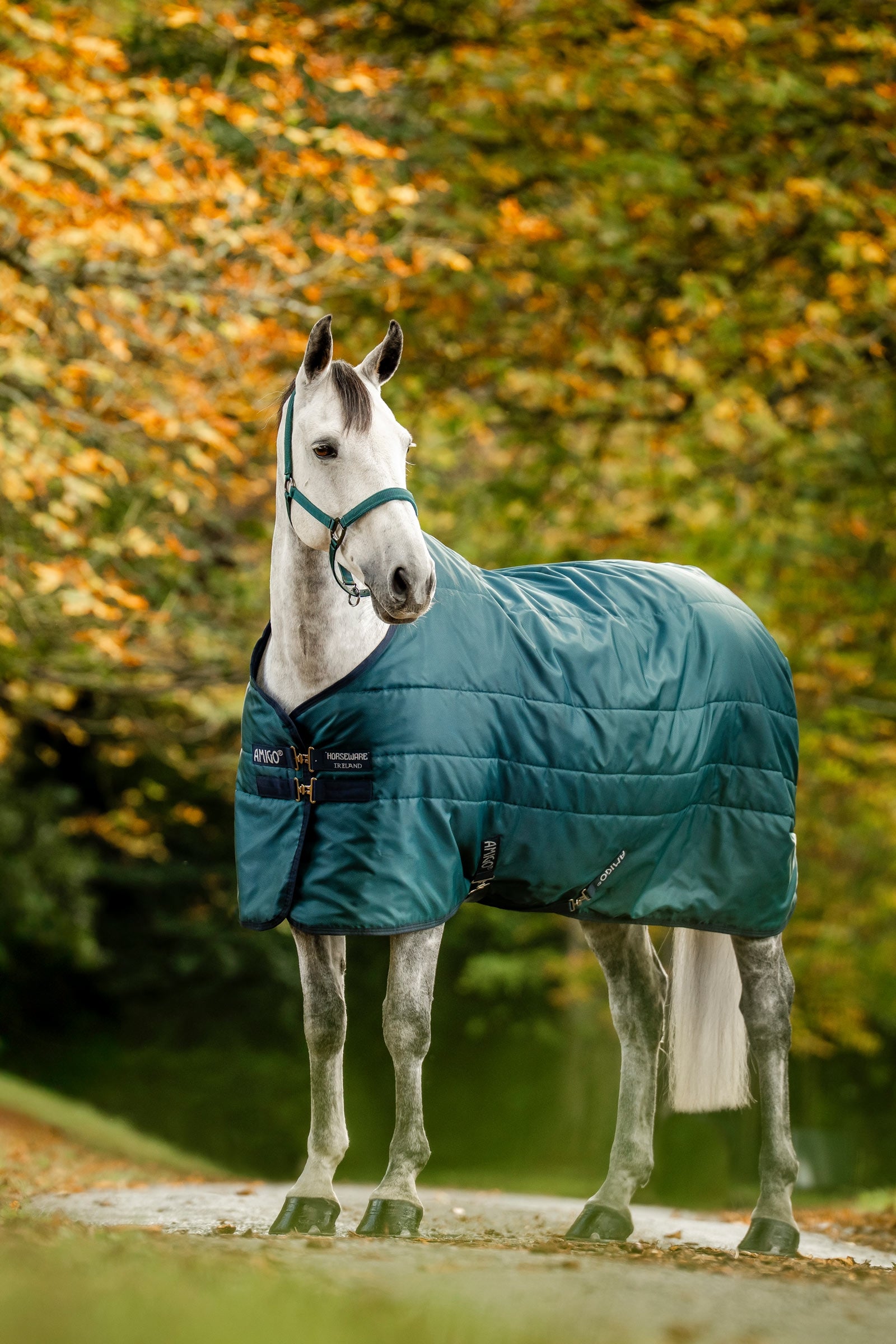 Horseware Amigo Ripstop Stalldecke mit Füllung, 350 g Pferdedecken