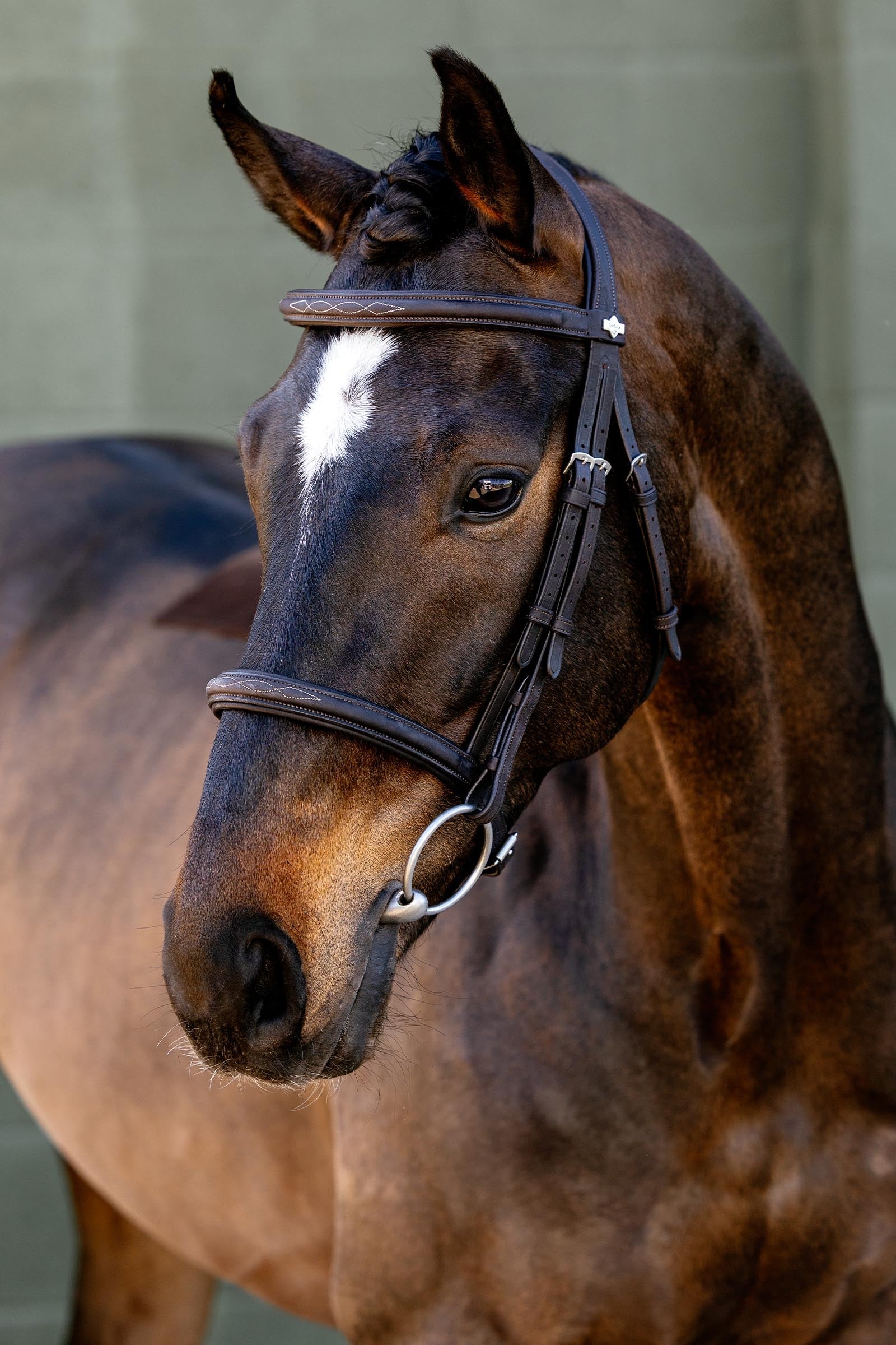 LeMieux Classique Cavesson Bridle Horse Training
