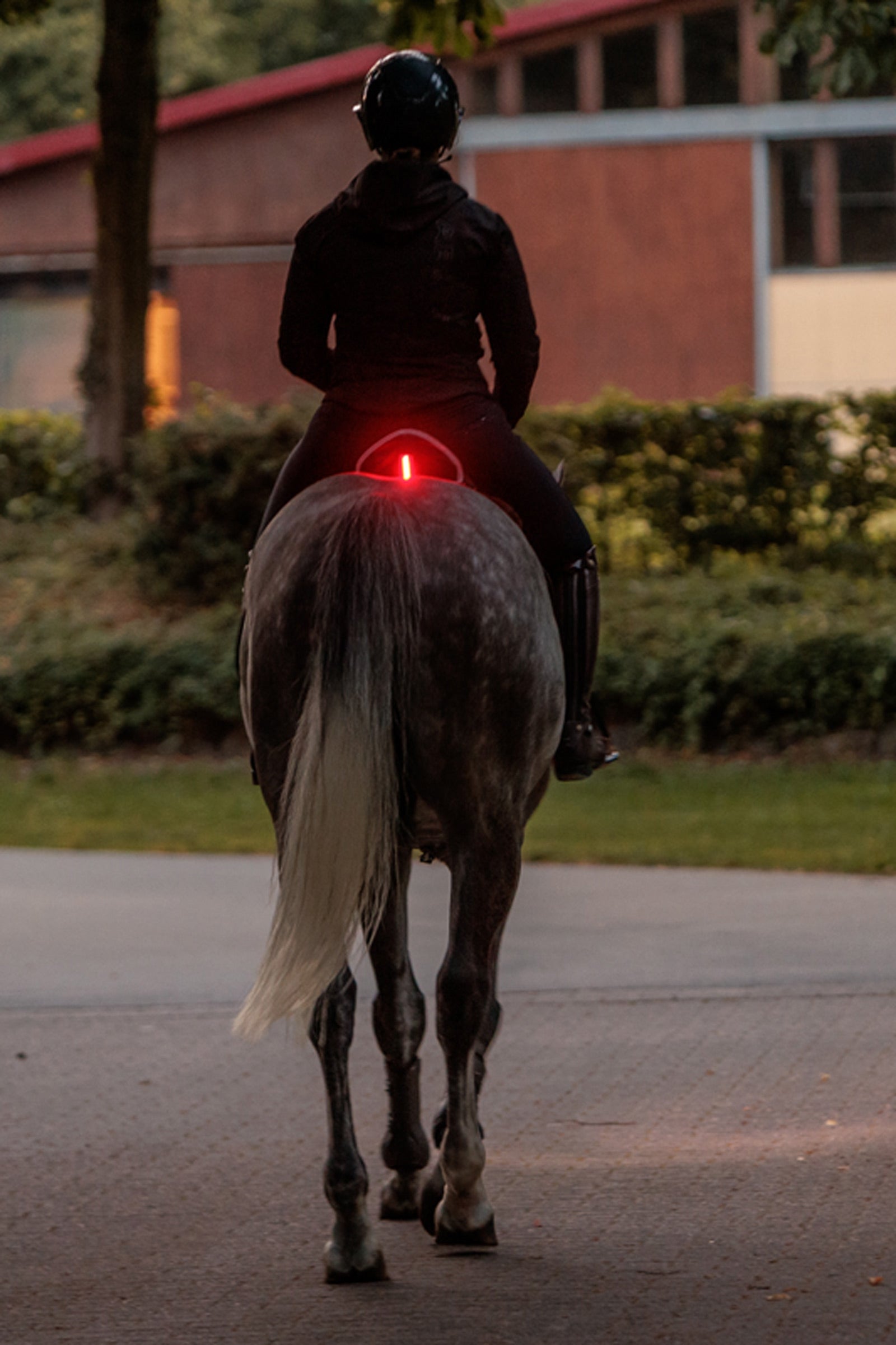 Kavalkade Horselight Red Rear Light For Saddle Reflective