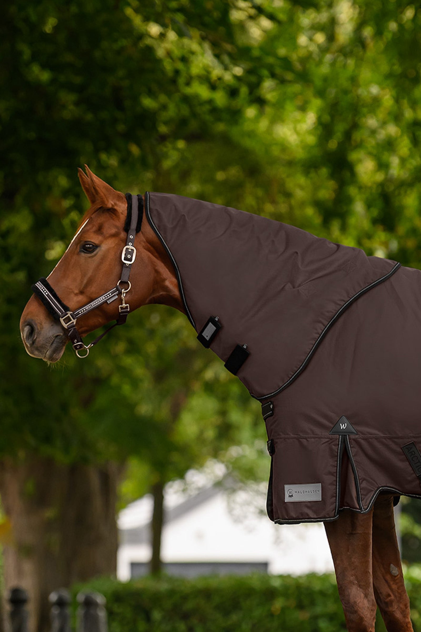 Waldhausen Outdoor Rug Neck Piece 600D, 200 g Horse Rugs