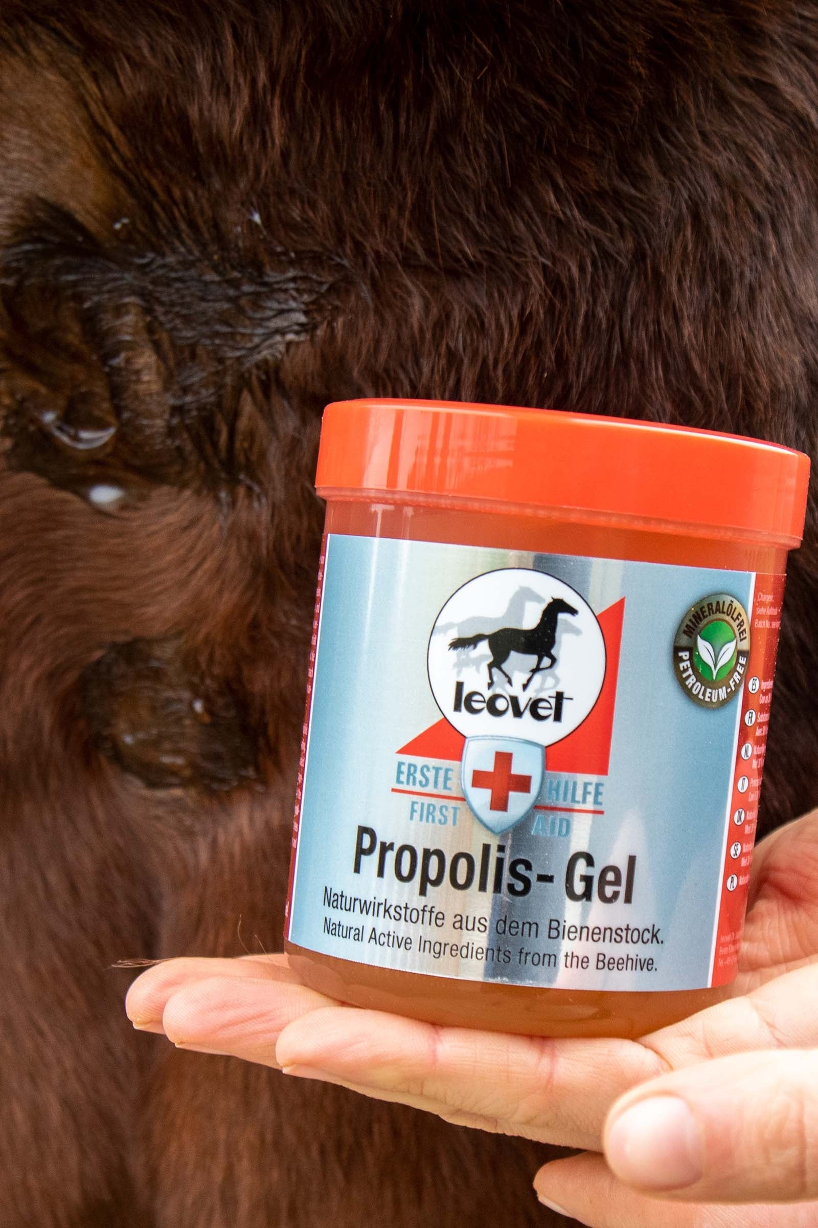 Leovet Propolis-Gel Horse Health Care