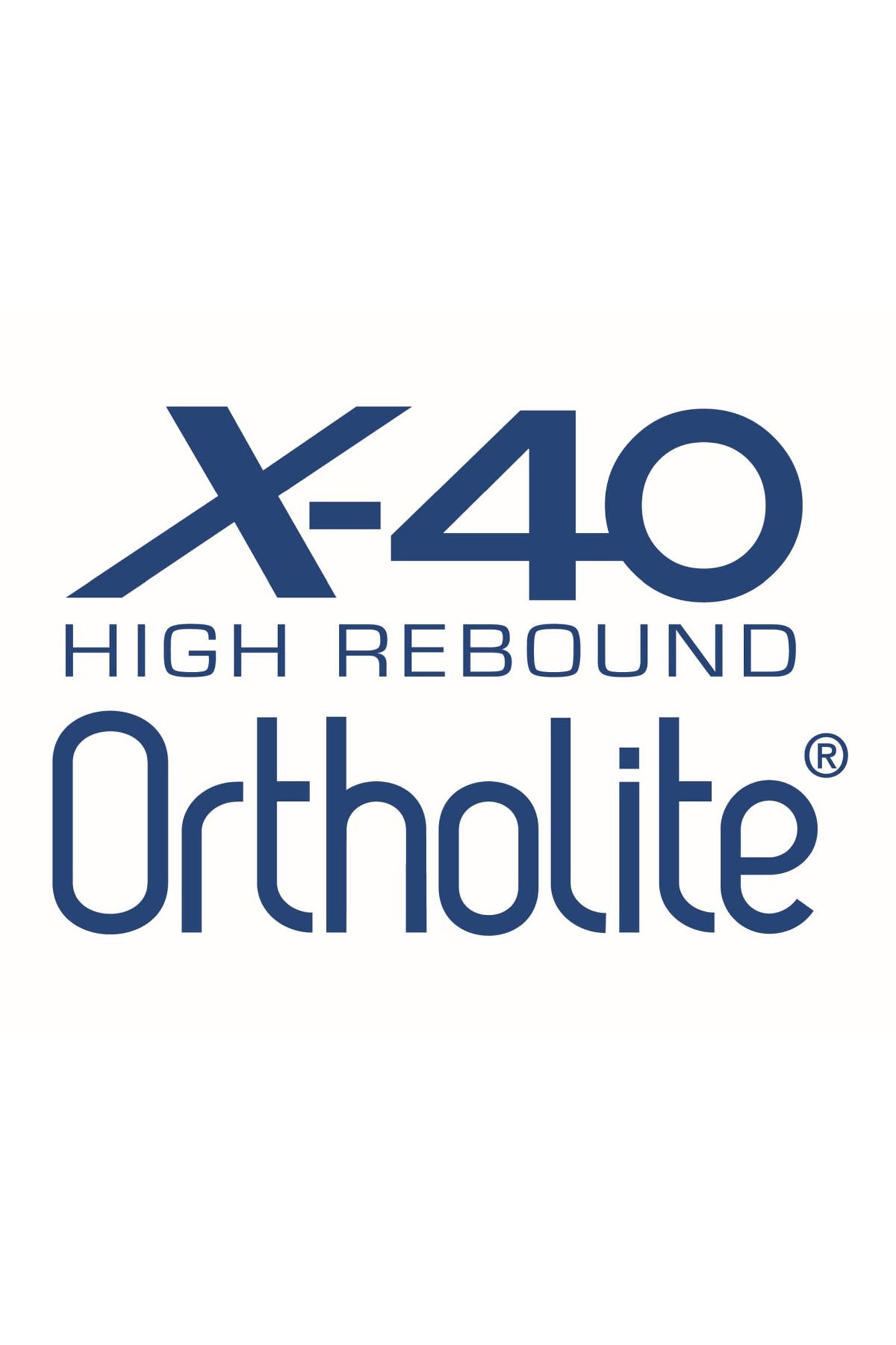 Suedwind Footwear Advanced II BZ Lace Jodphur Riding Boots & Riding Shoes