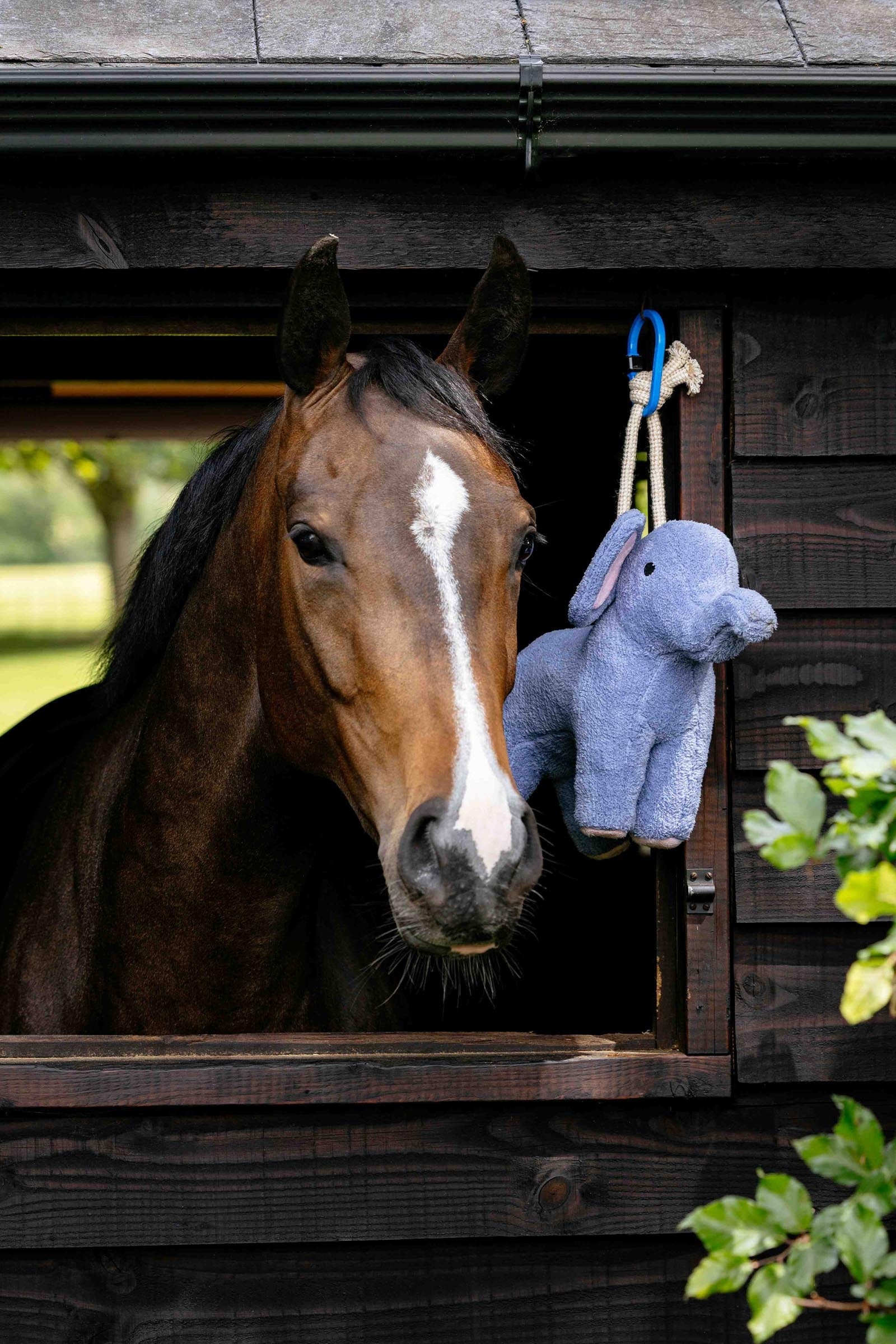 LeMieux Plush Horse Toy Elephant Horse Toys & Riding Arena Supplies