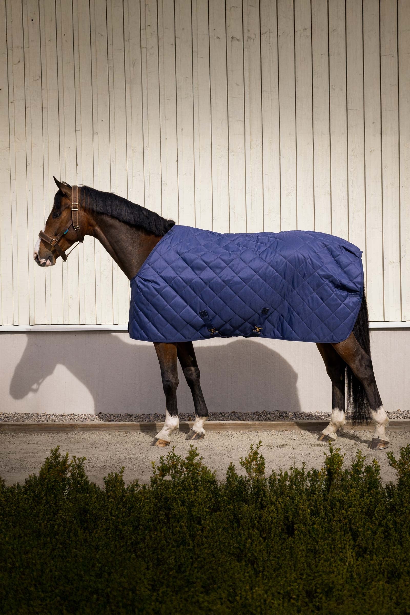 Bucas Cosy Stable Rug Pferdedecken