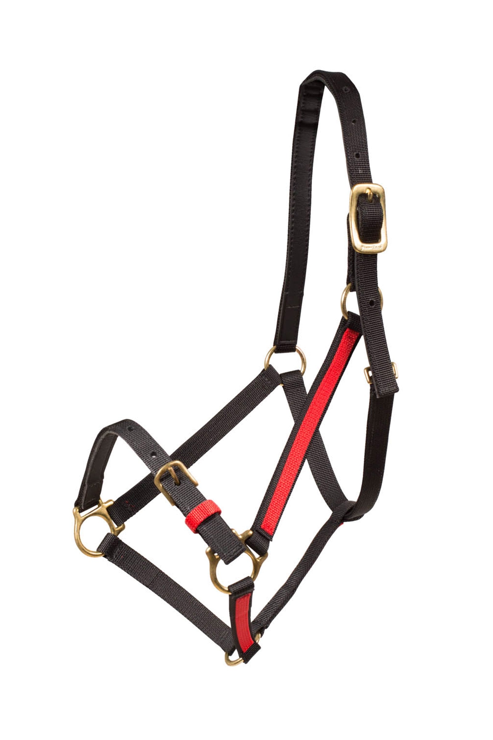 Finntack Yankee Nylon-Halfter, 20mm, offene Nase Halfter & Stricke