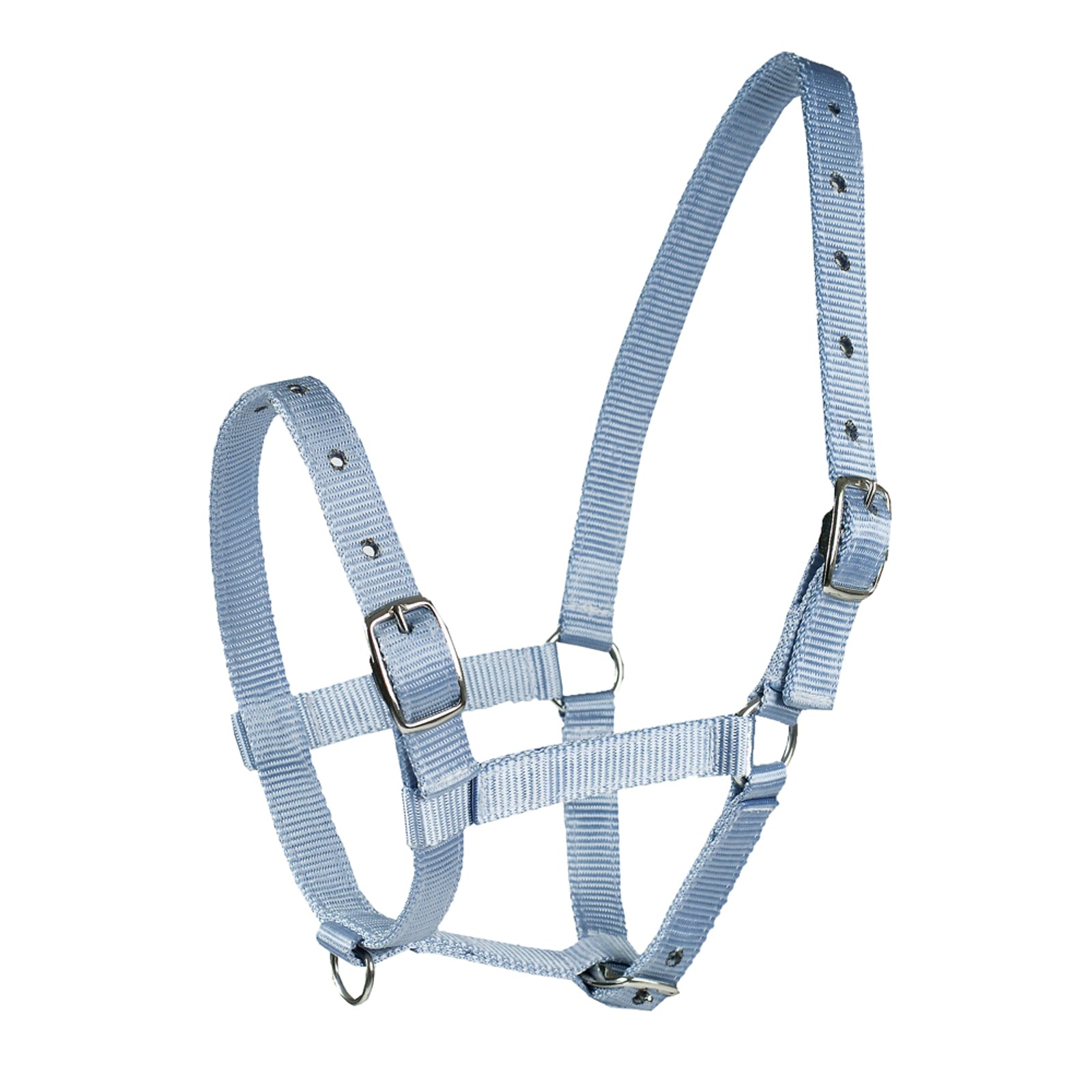 Horze Fohlenhalfter Halfter & Stricke