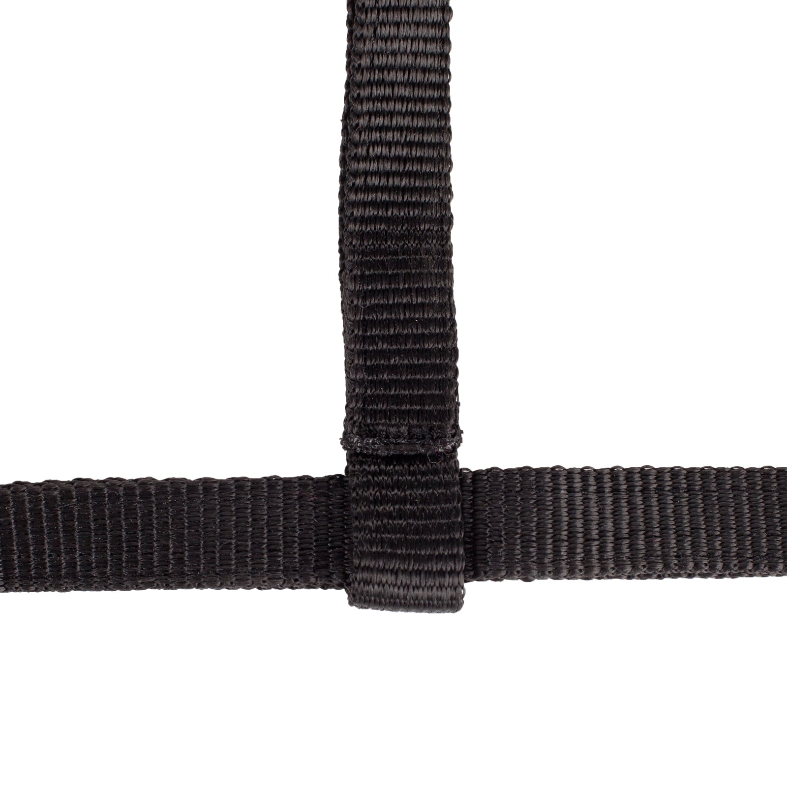 Horze Foal Halter Halters & Leads