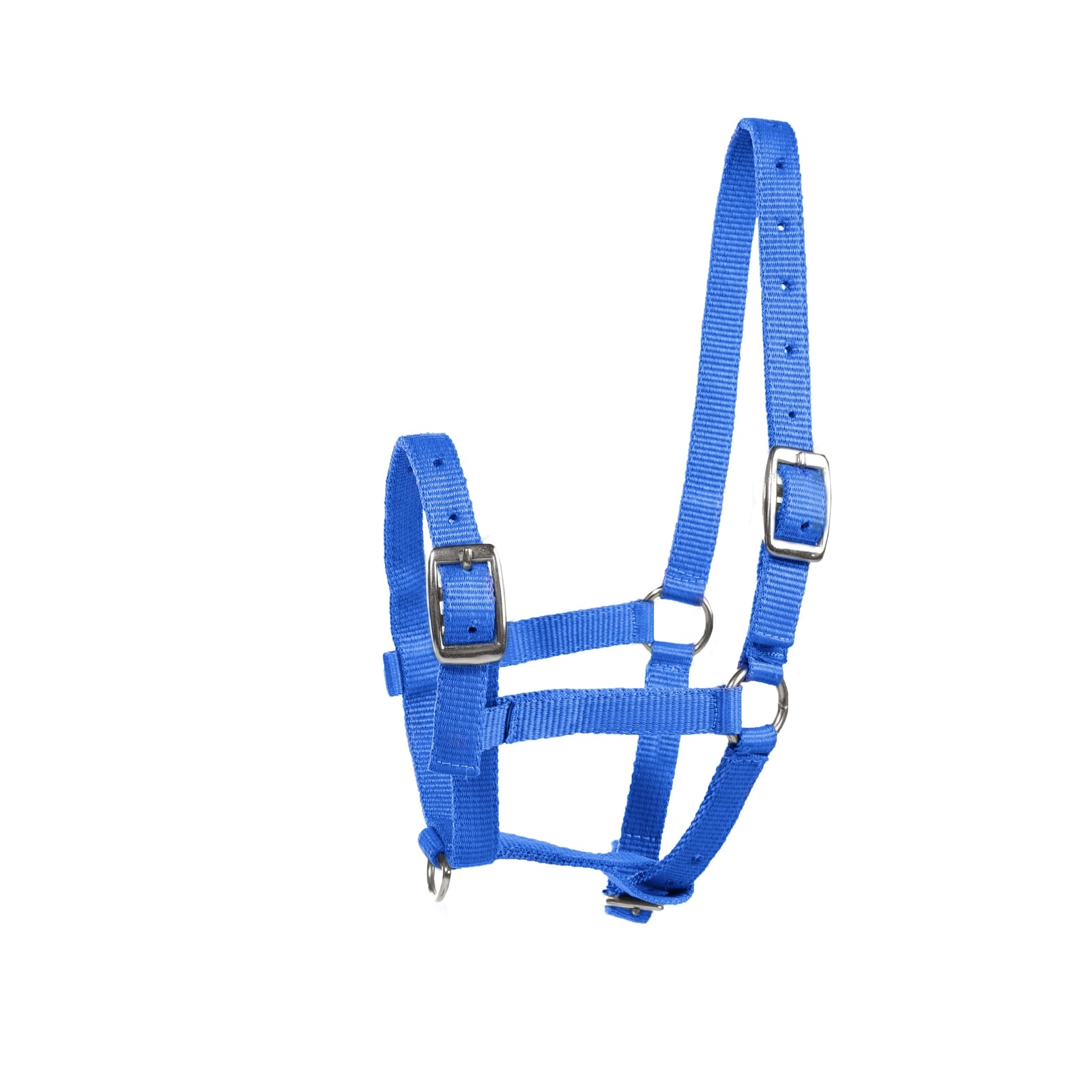 Horze Fohlenhalfter Halfter & Stricke