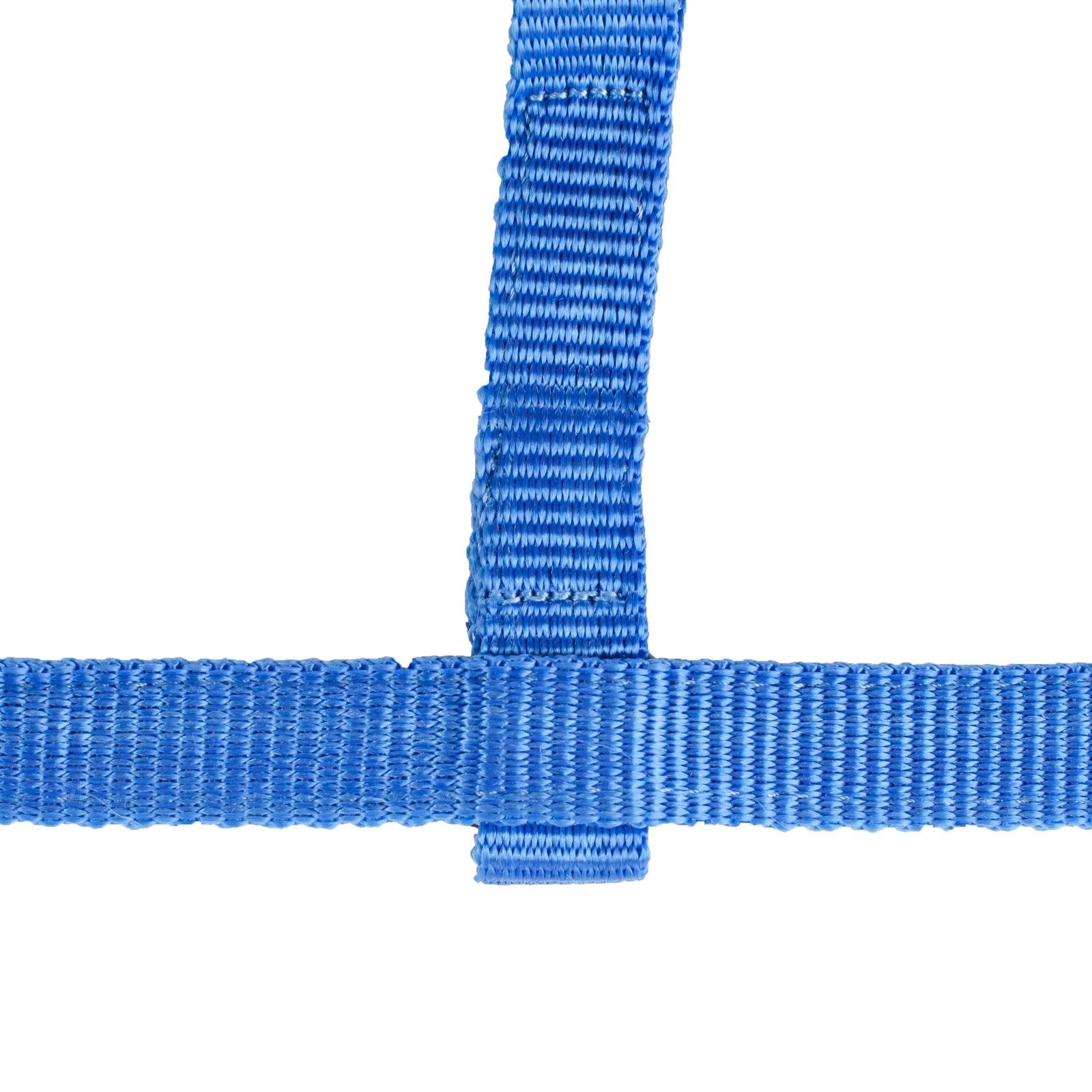 Horze Foal Halter Halters & Leads