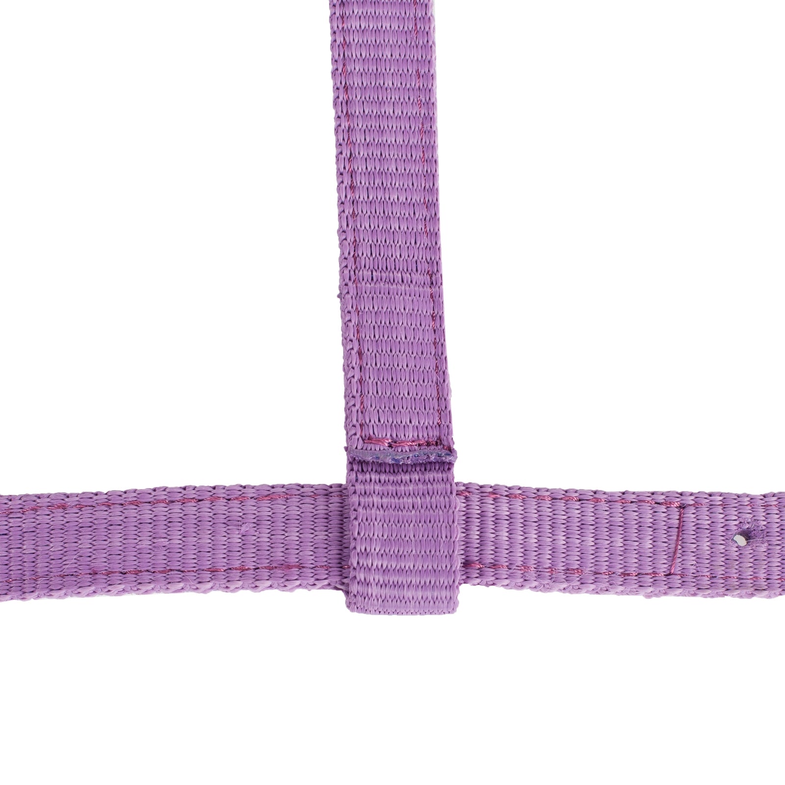 Horze Foal Halter Halters & Leads