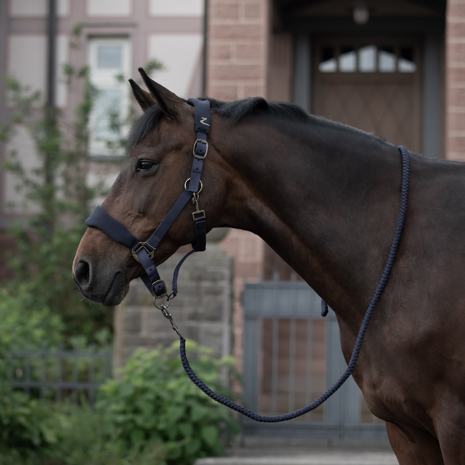 Horze Graz Halfter Halfter & Stricke