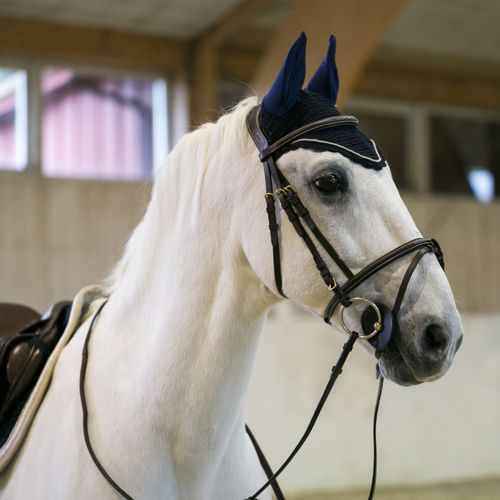 B Vertigo Sam Ear Net Saddle Pads