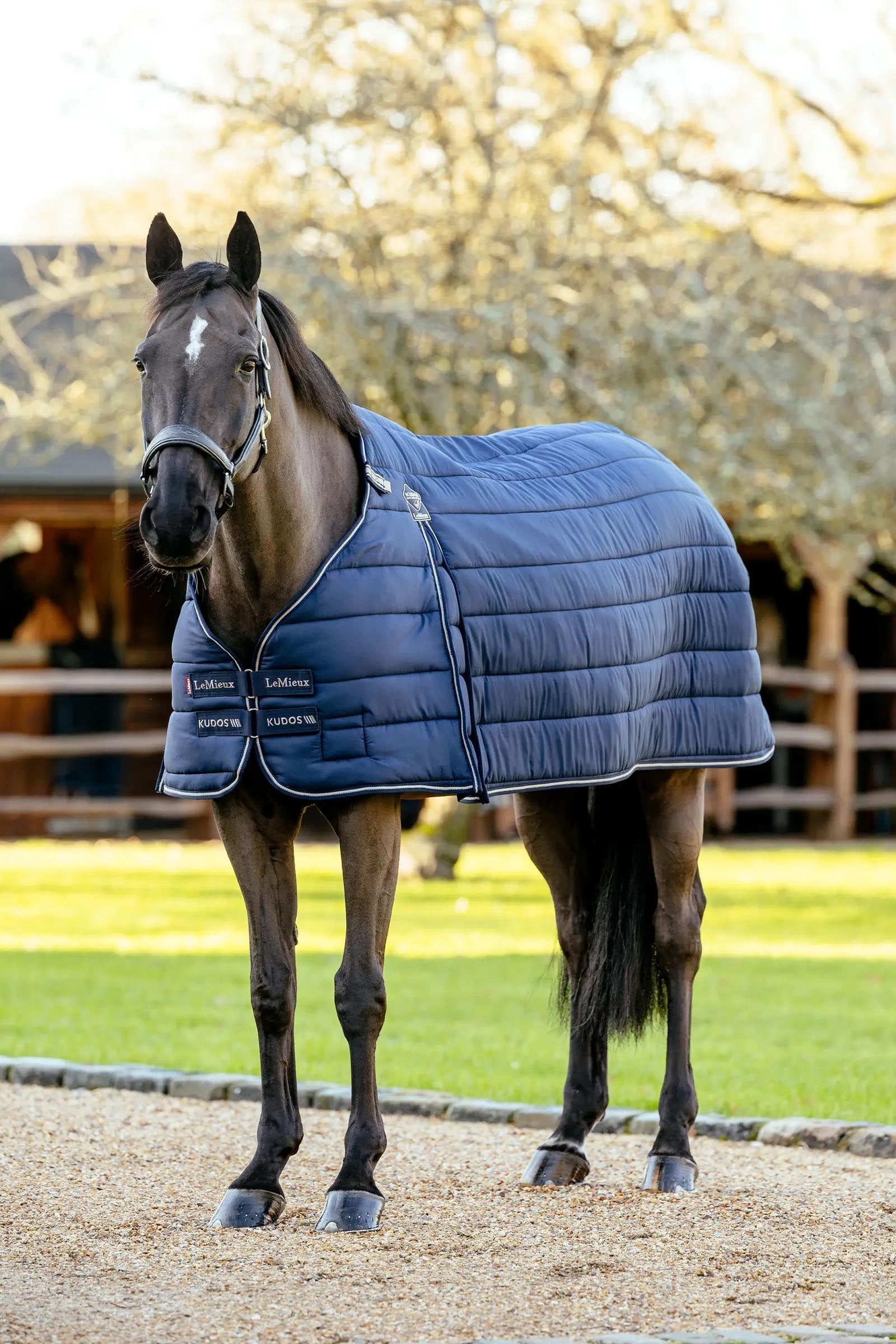 LeMieux Kudos Rug Liner, 200 g Horse Rugs