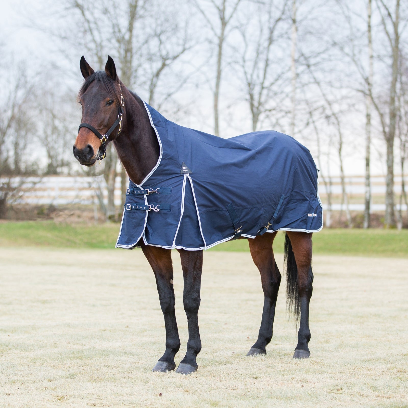 Finntack Pro Alaska Regendecke mit hohem Hals Pferdedecken