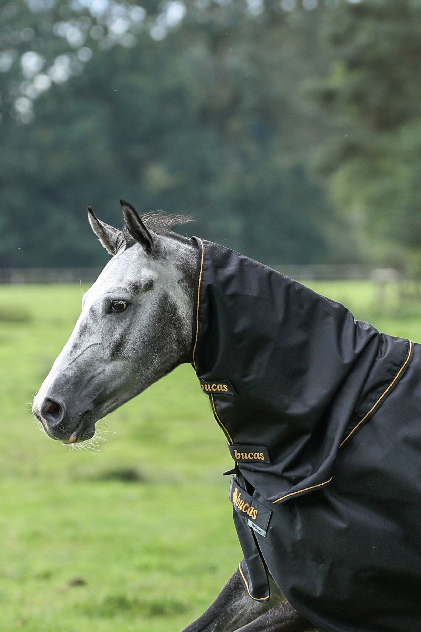 Bucas Irish Turnout Halsteil, 0g Pferdedecken