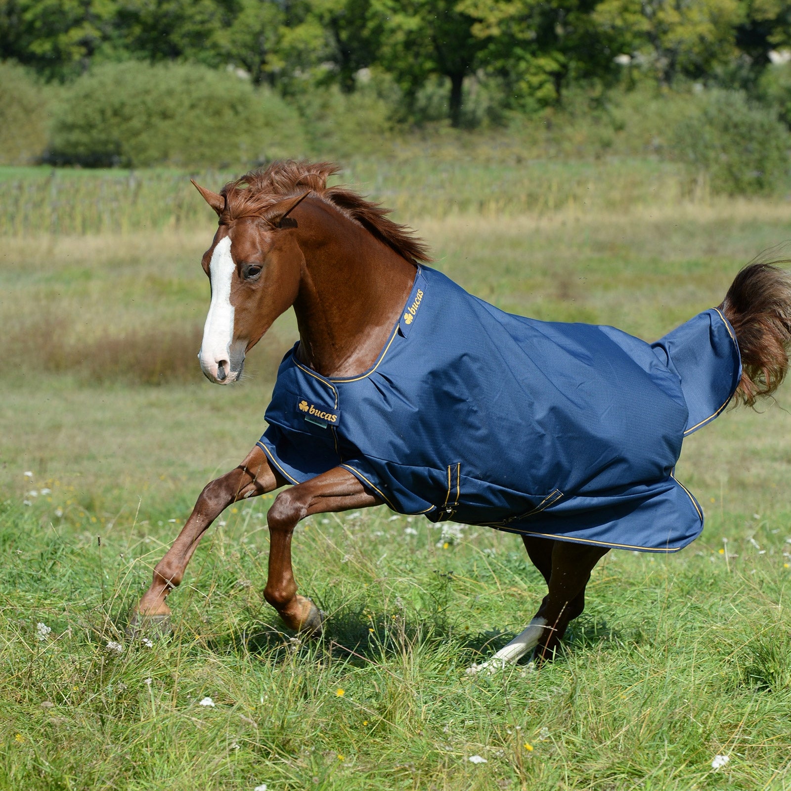 Bucas Irish Turnout Extra Pony Winterdecke, 300g Pferdedecken