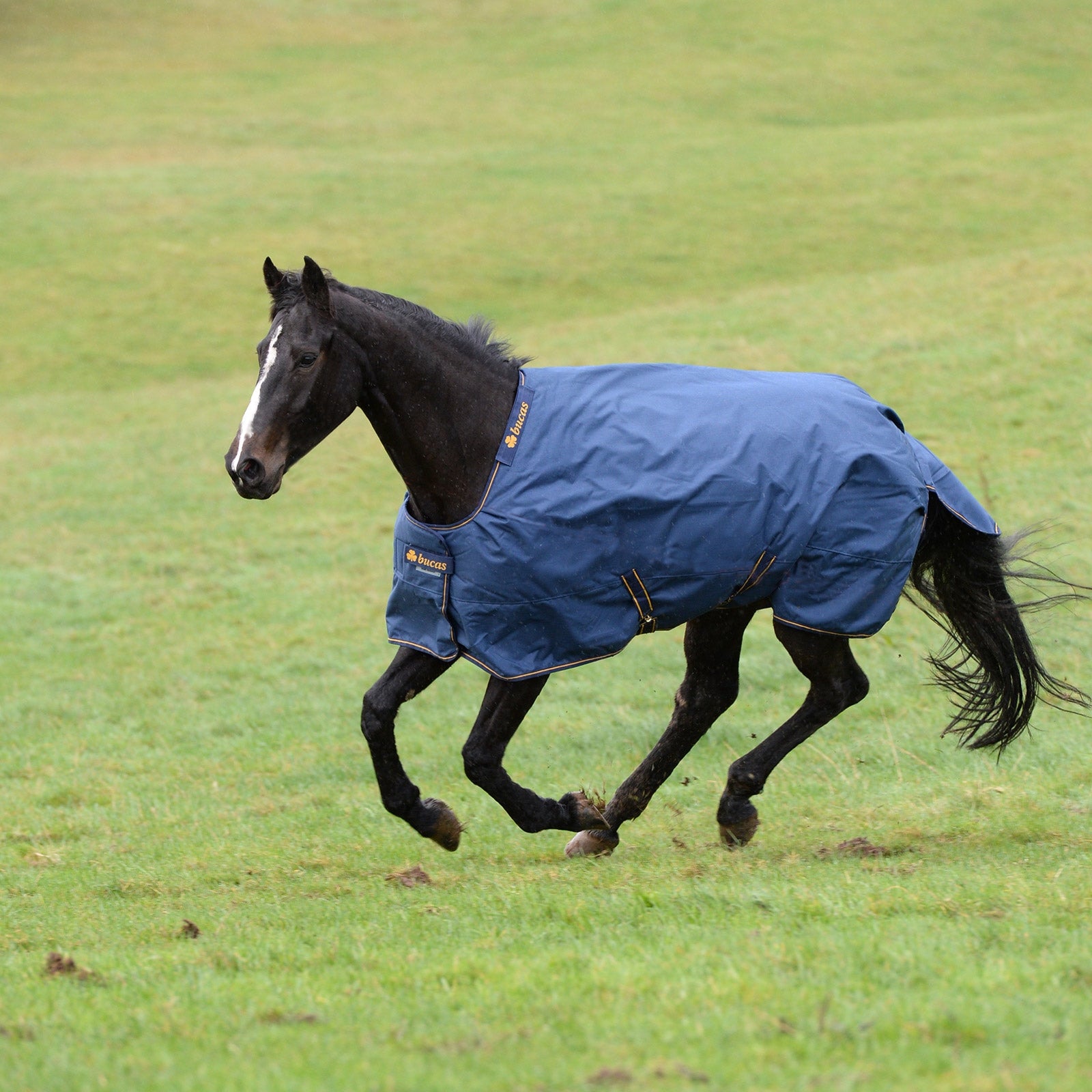 Bucas Irish Turnout Extra Pony Turnout Rug, 300g Horse Rugs