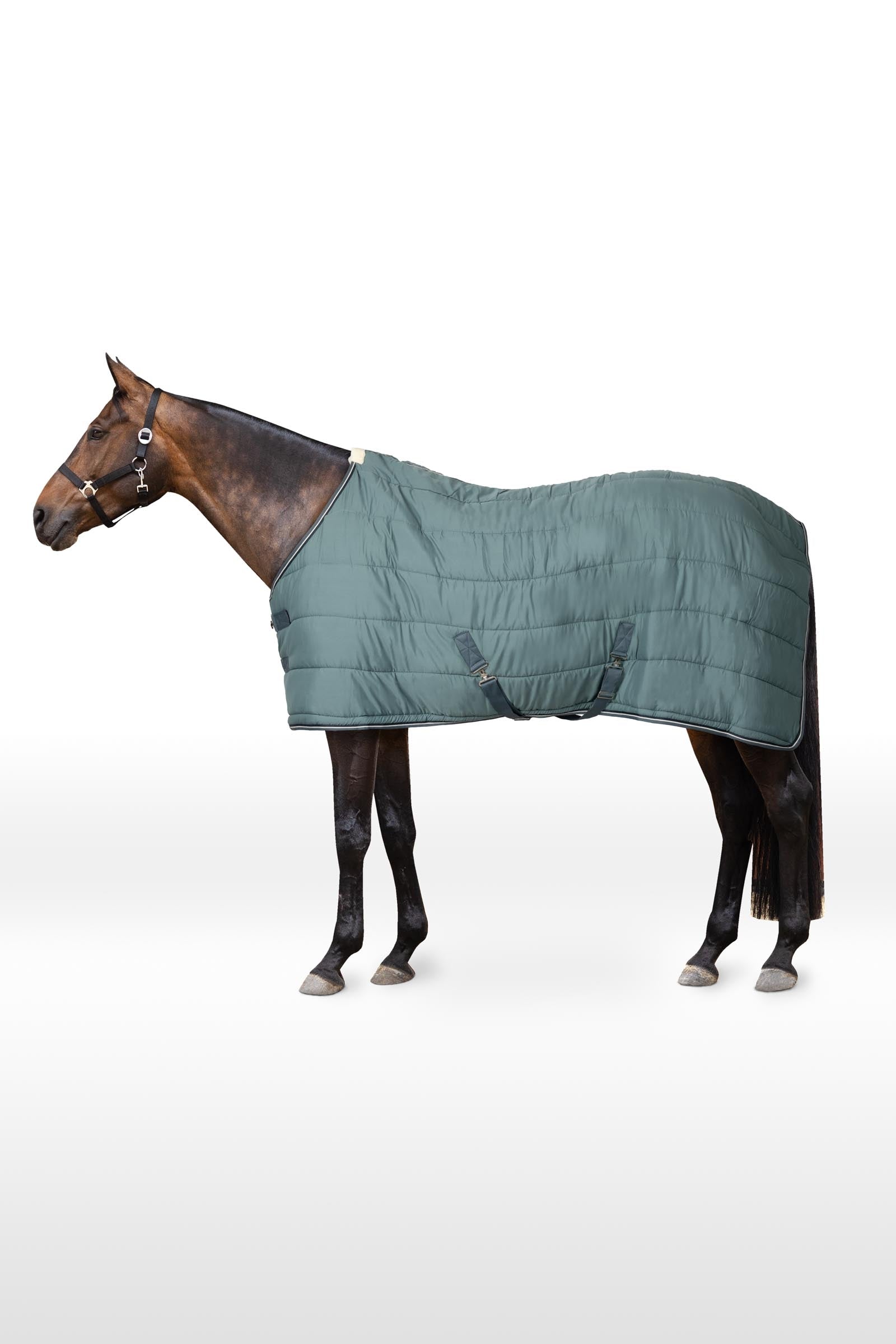 Horze Glasgow Stalldecke / Unterdecke, 200g Pferdedecken