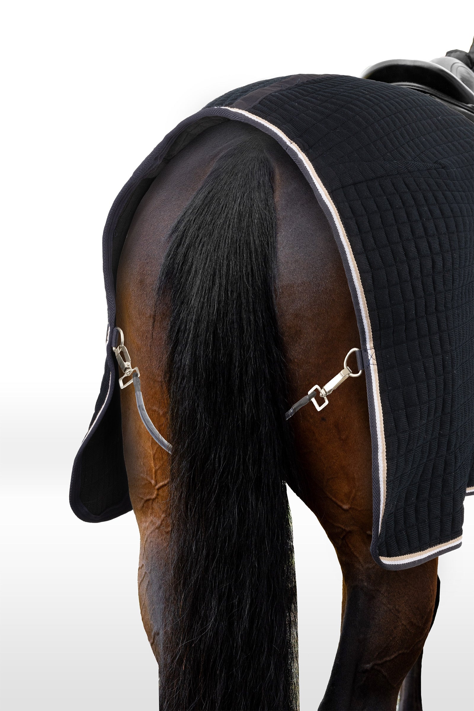 B Vertigo Concord Exercise Rug Horse Rugs